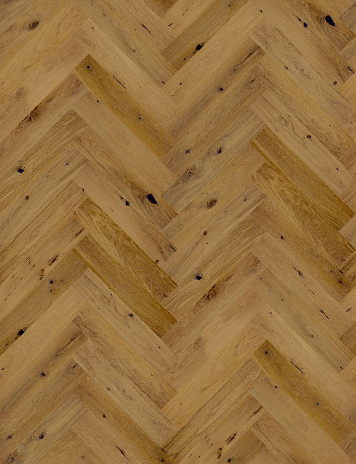 Dąb Mainland Piccol (1838x2392)