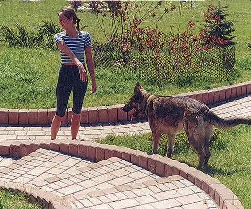 Przykład realizacji 9 palisada NOSTALIT