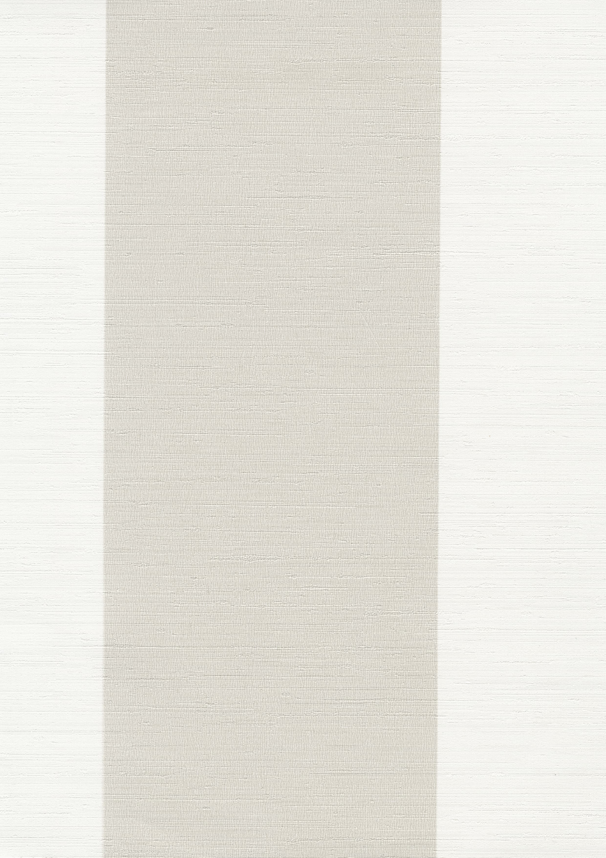 11165 - Astoria Karakash Stripe