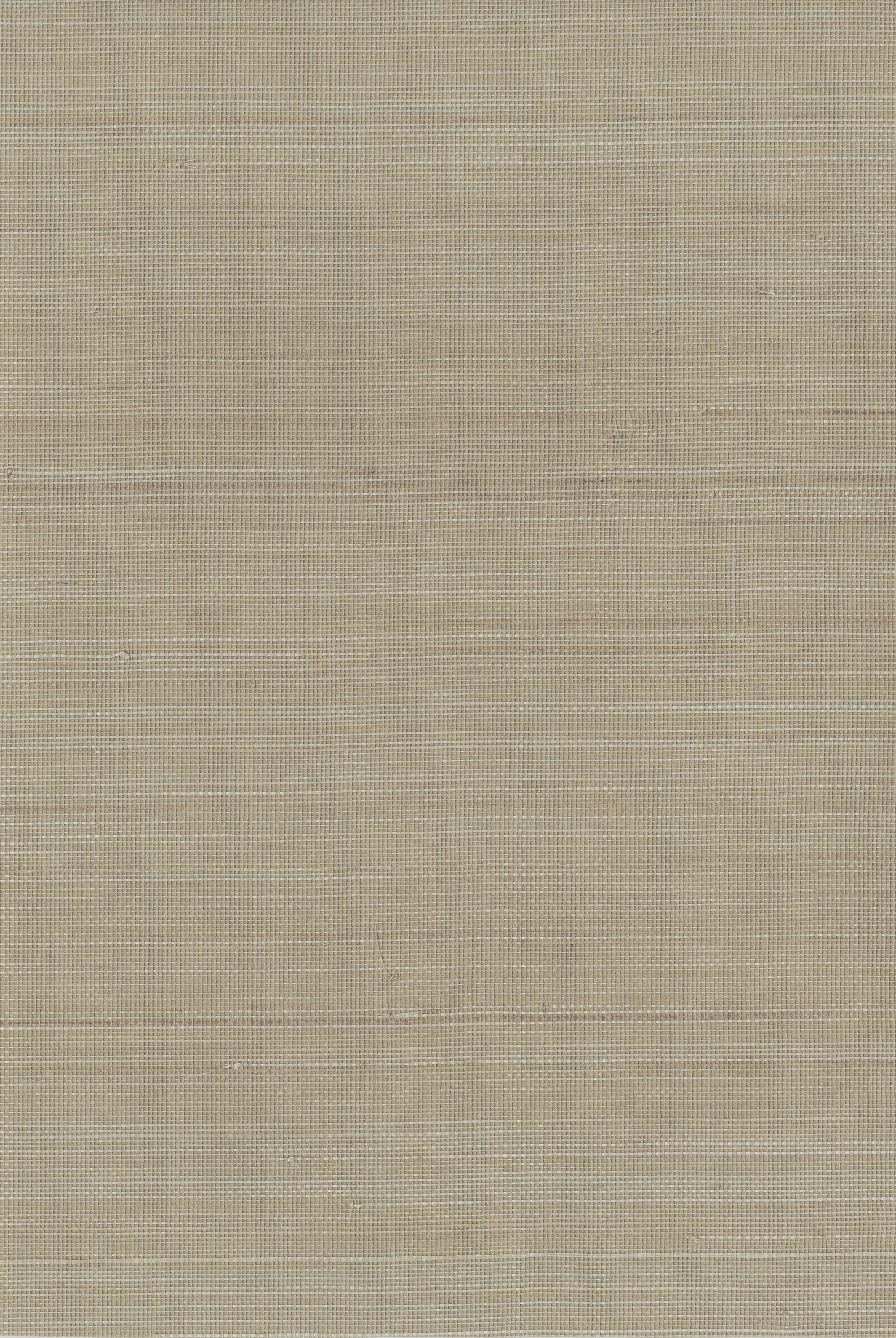 11221 - Everglades Grasscloth