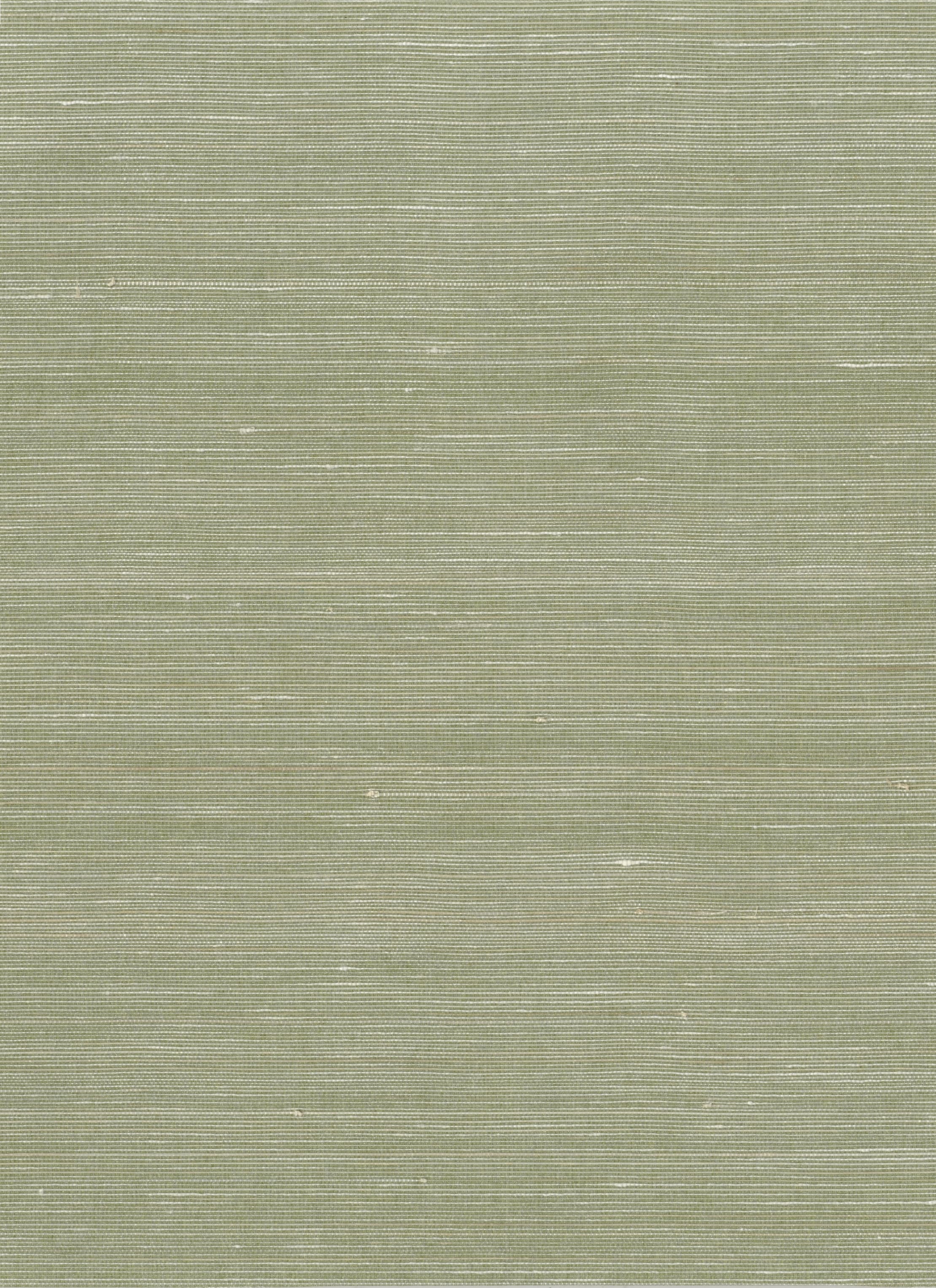 11151 - Everglades Grasscloth