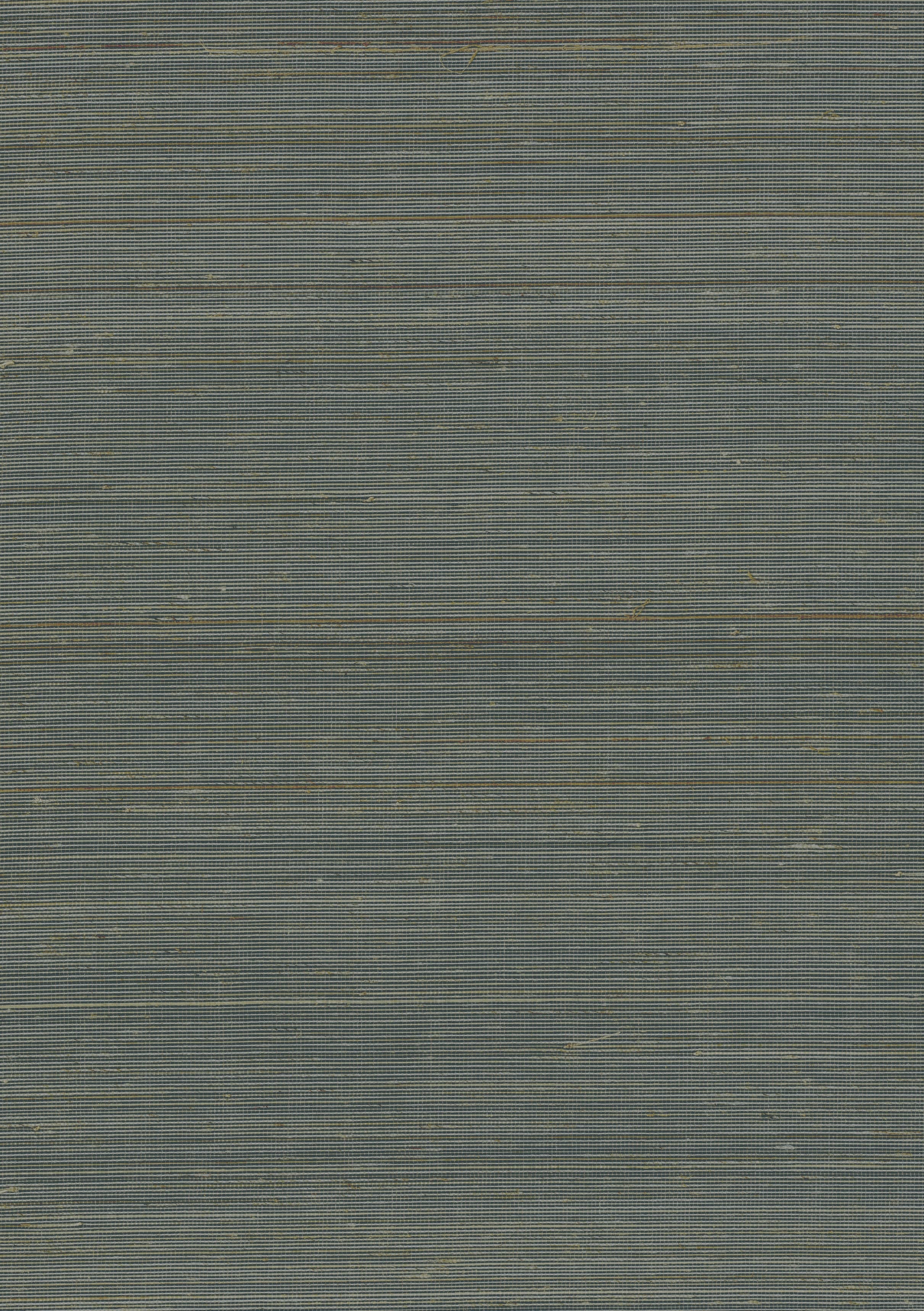 11212 - Everglades Grasscloth