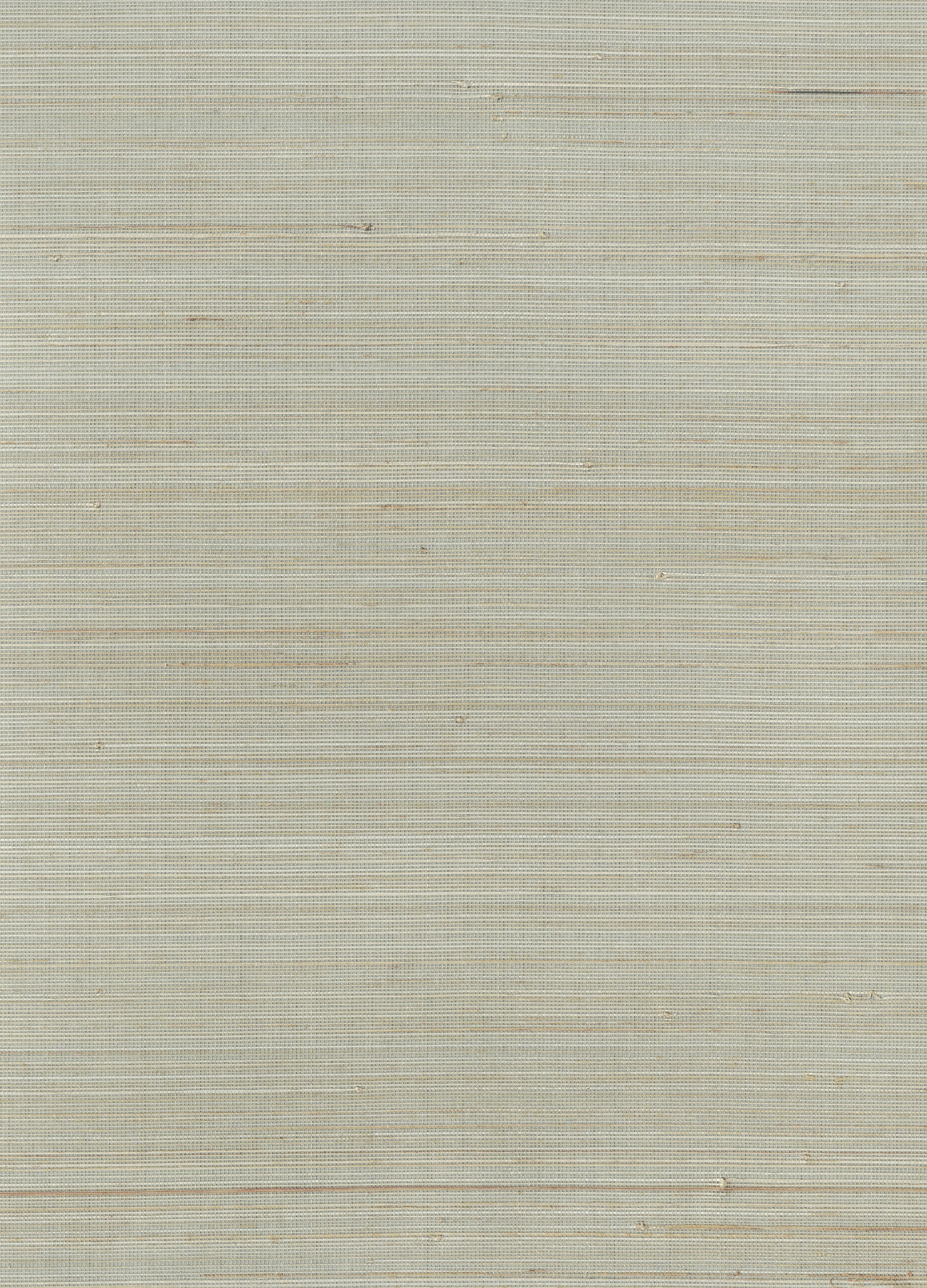 11215 - Everglades Grasscloth