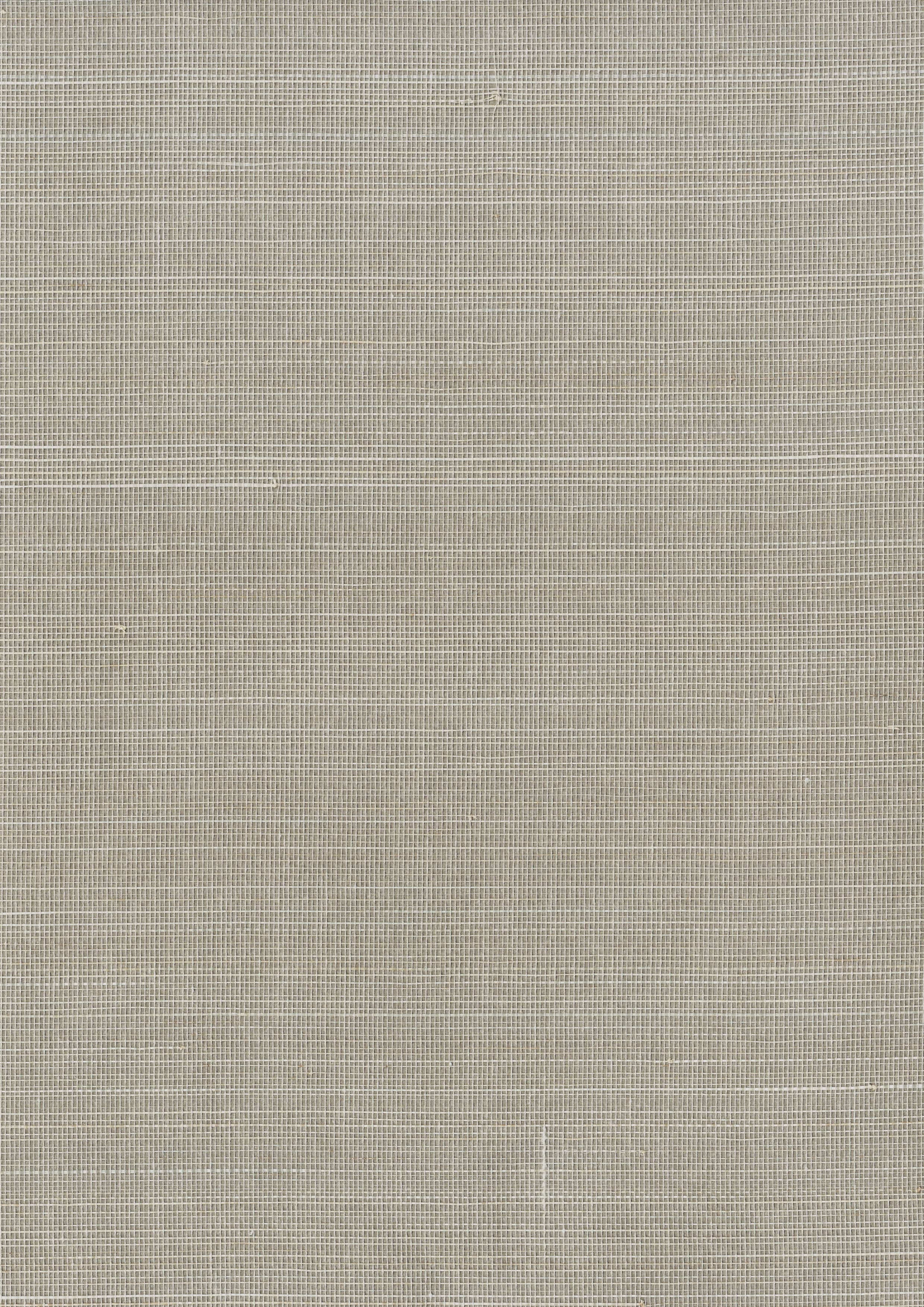 11219 - Everglades Grasscloth