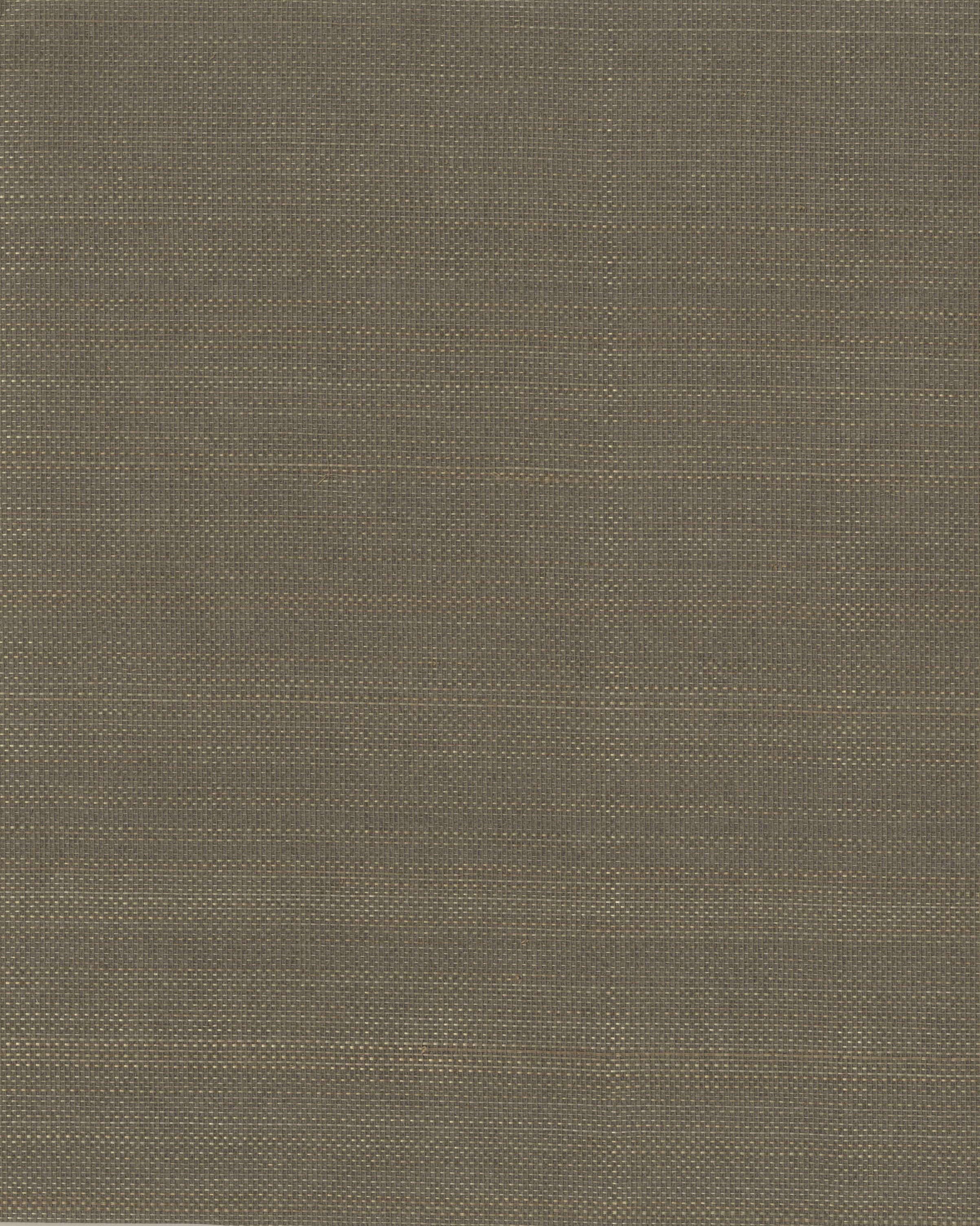 11154 - Everglades Grasscloth