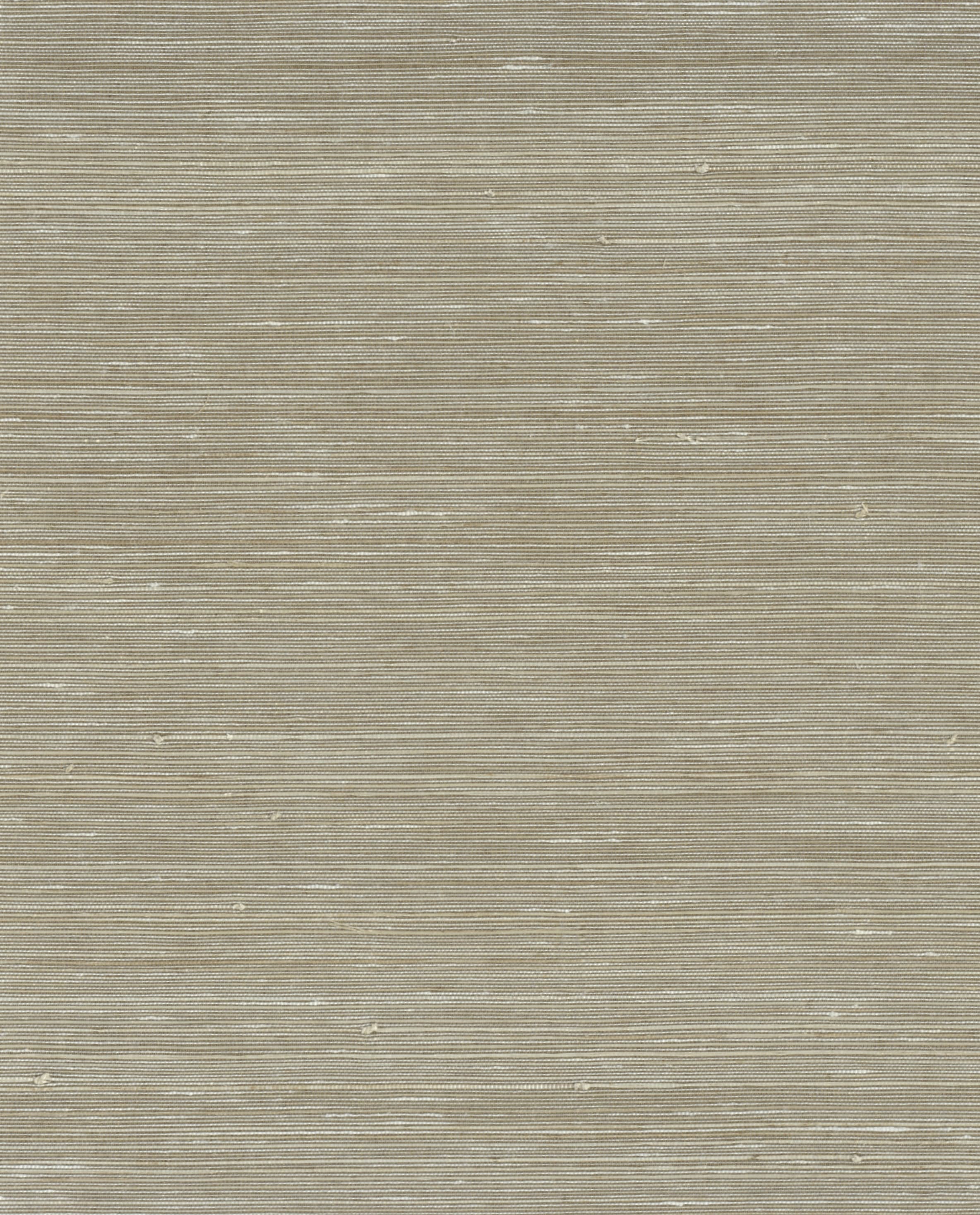 11153 - Everglades Grasscloth