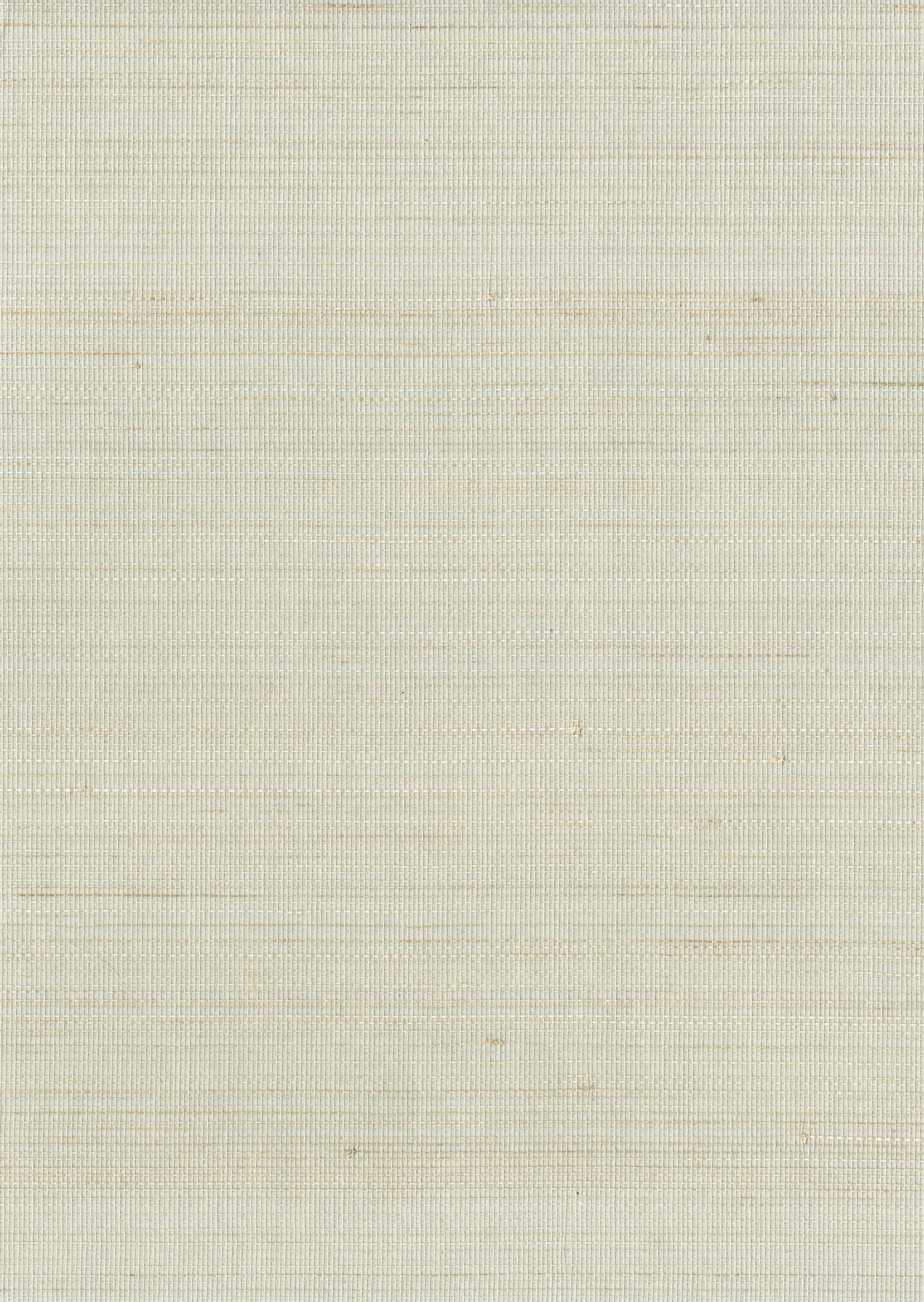 11216 - Everglades Grasscloth