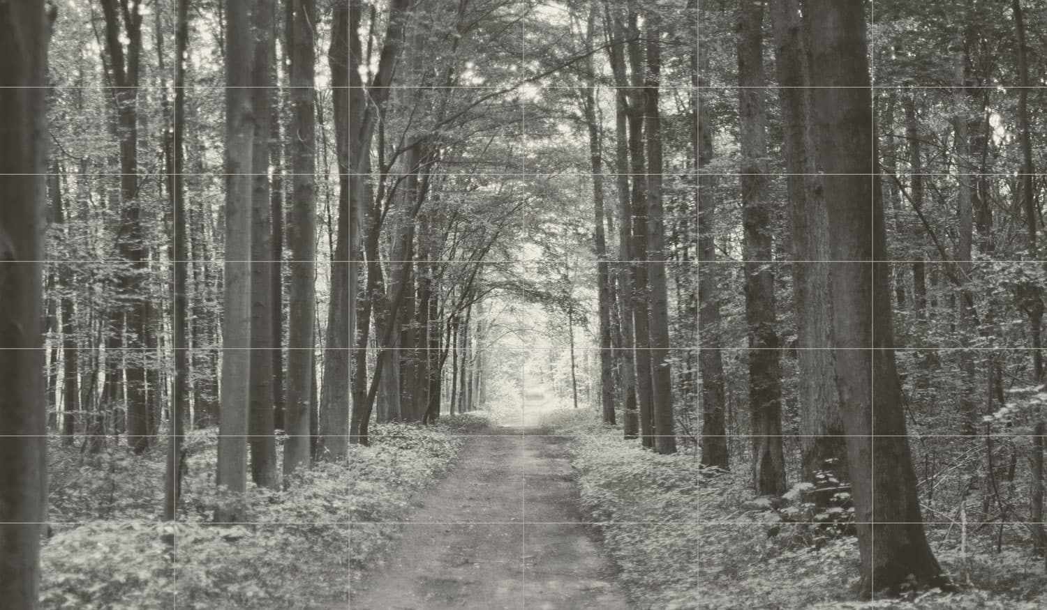 DS-All-In-White_3598x2098