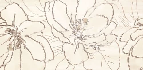 folder image