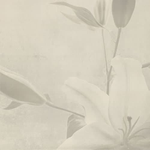 folder image