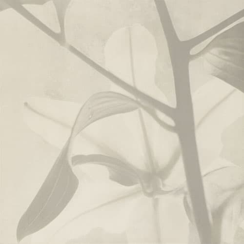 folder image