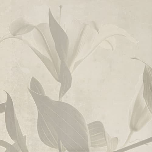 folder image