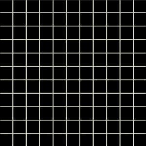 MS-BLACK