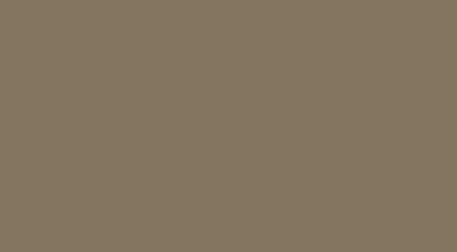 PS-Colour-Mocca-R1