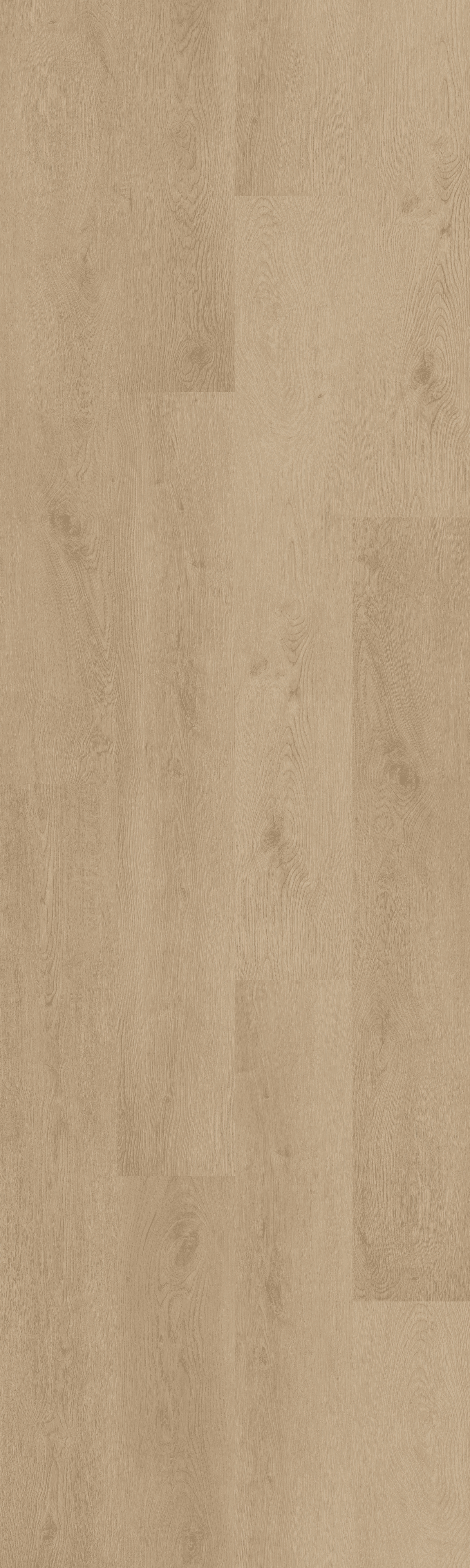 (RLC281WL) Plain Oak Beige