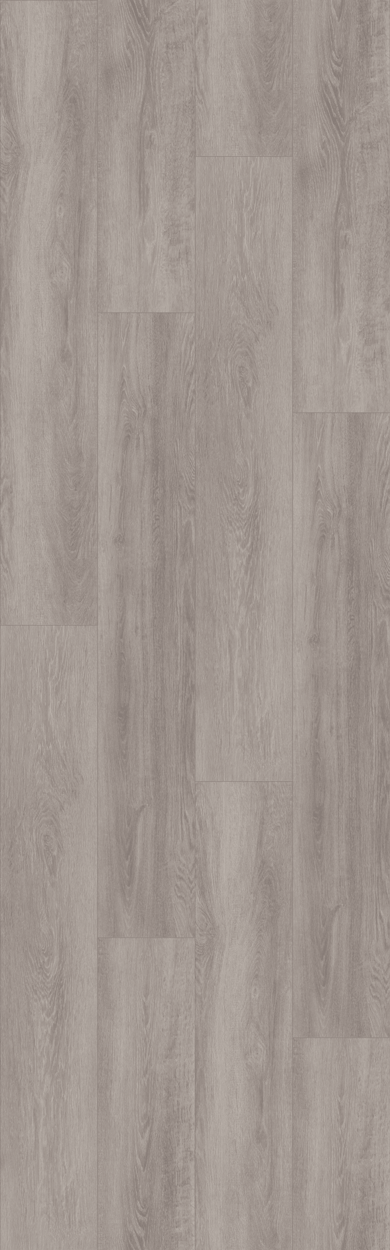 (DB301WXL) Limed Oak Silver