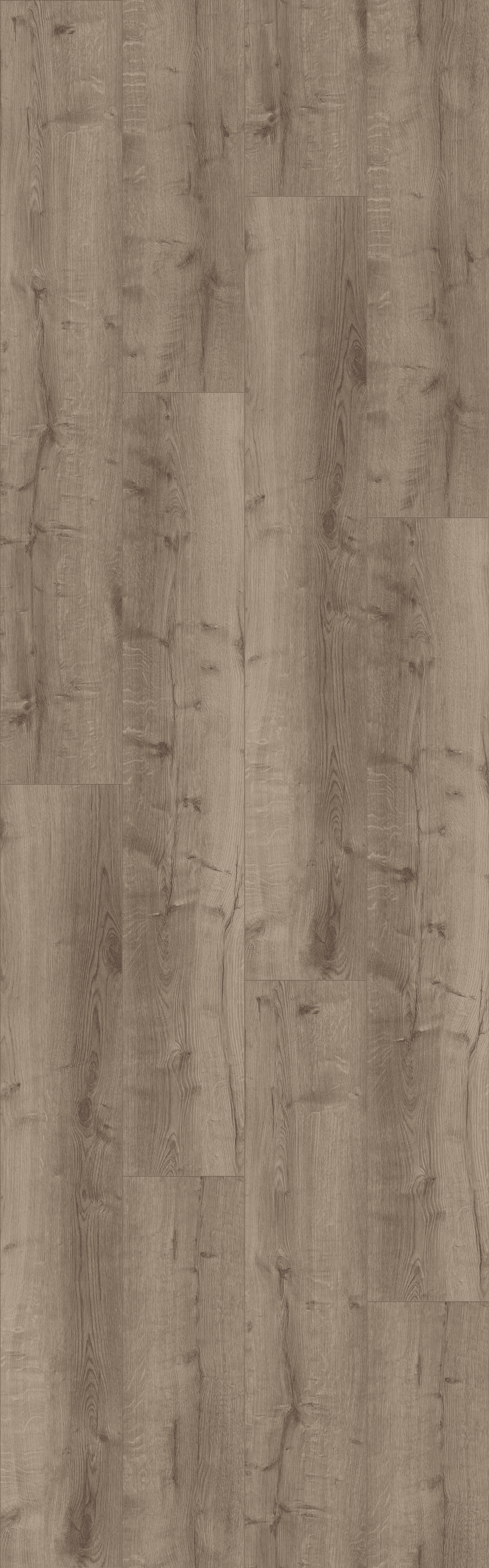 (DB300WXL) Comfort Oak Taupe