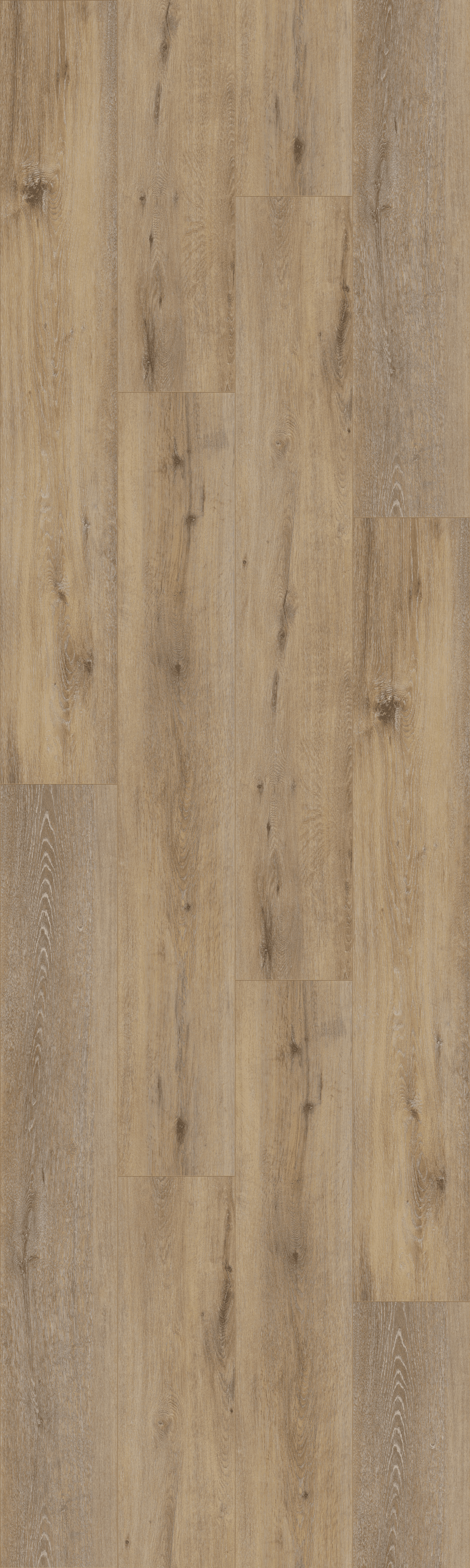 (DB126WXL) Joy Oak Tender 4V