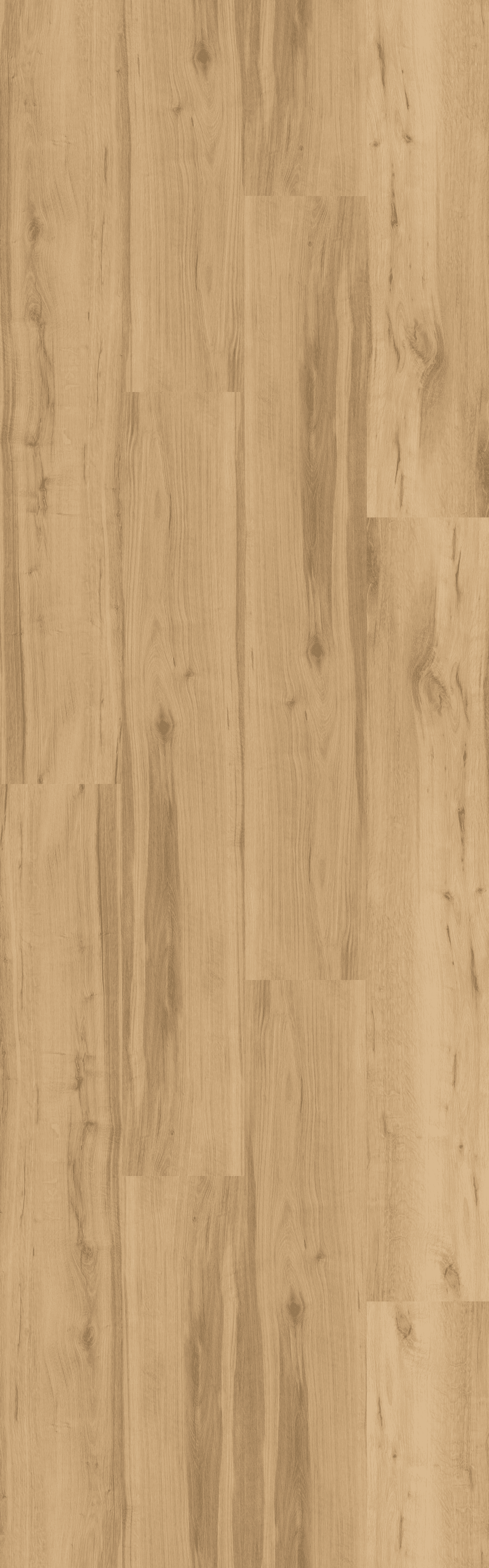 (DB292WXL) Shadow Oak Nature