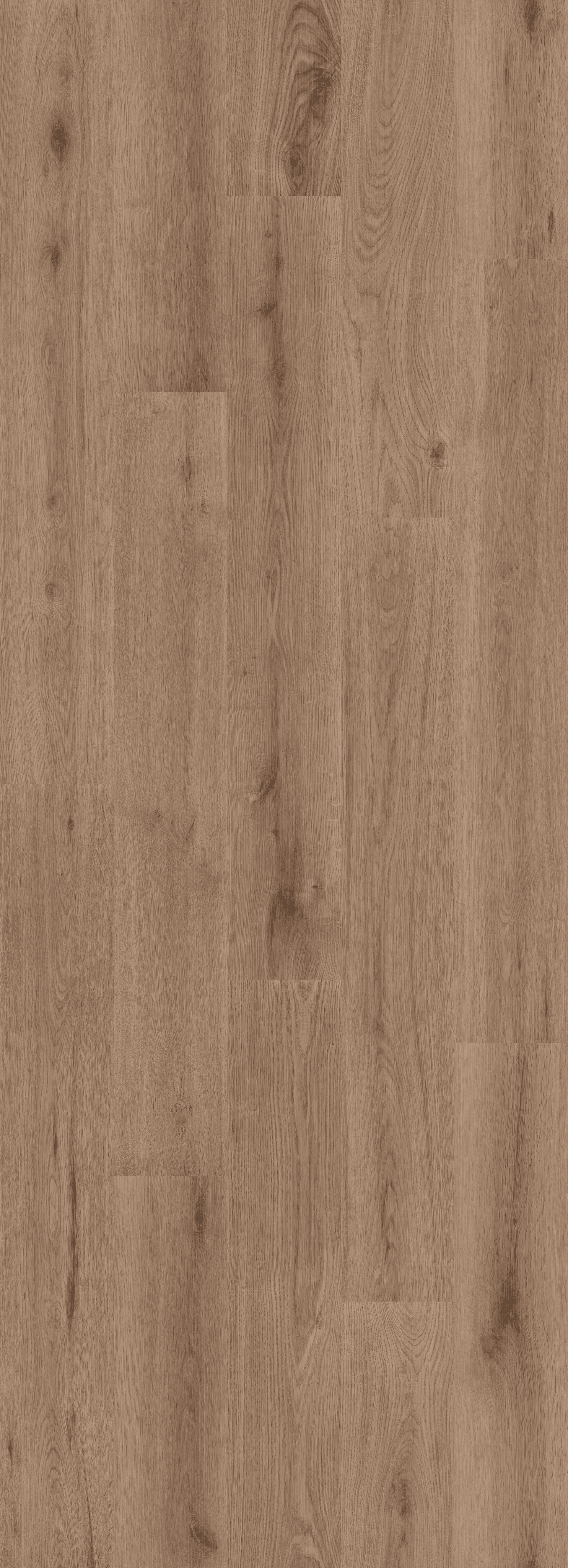 Strong Oak Cinnamon (PL301R) 2596x995 mm   