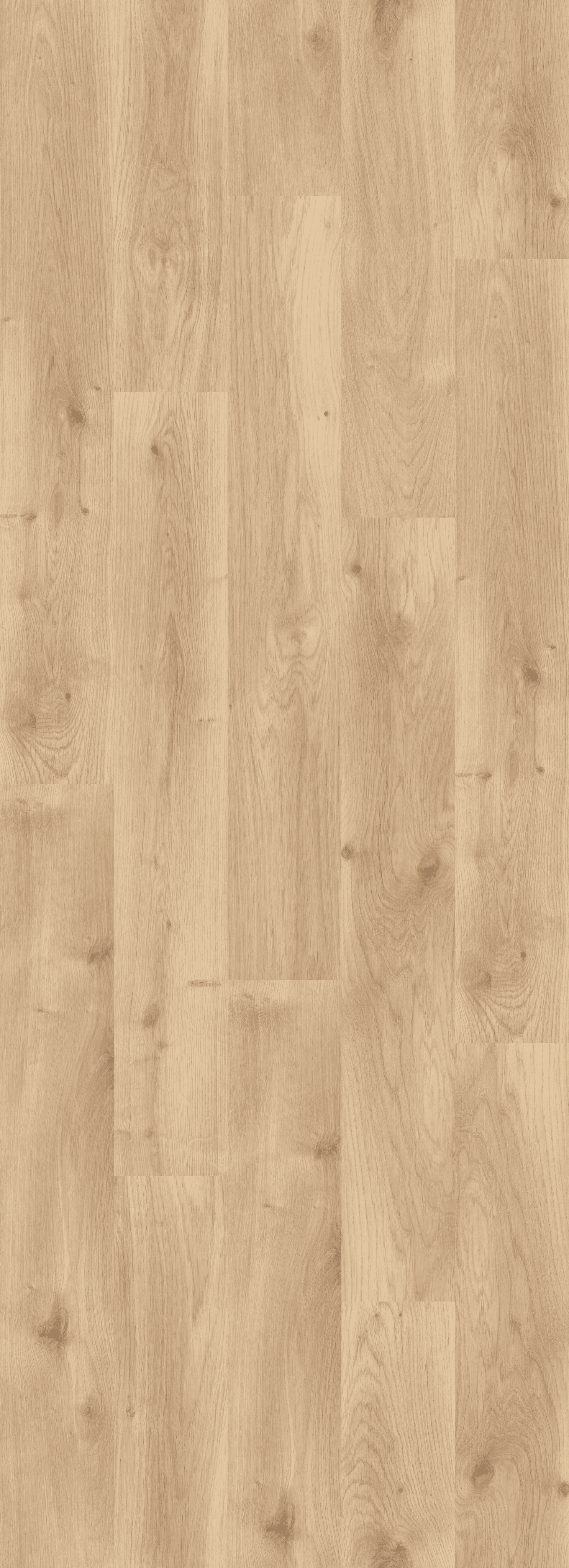Intensive Oak Honey (PL299R) 2596x995 mm   