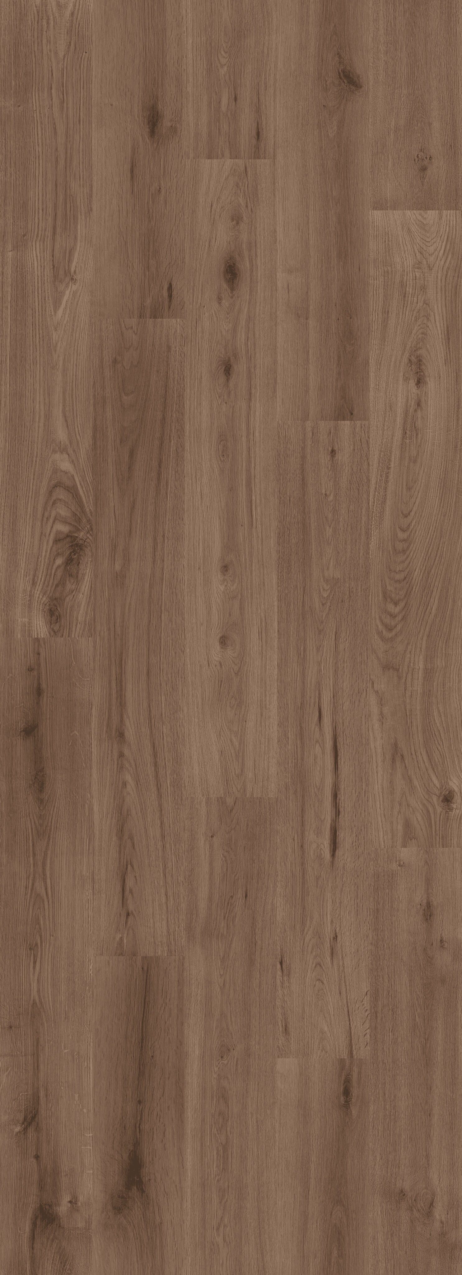 Strong Oak Cappucino (PL303R) 2596x995 mm   