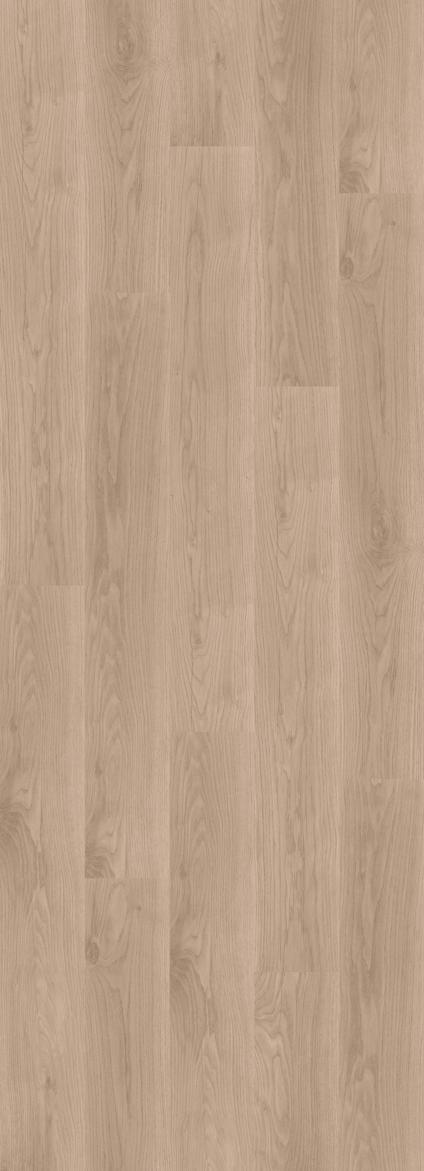 Comfort Oak Sand (PL298R) 2596x995 mm