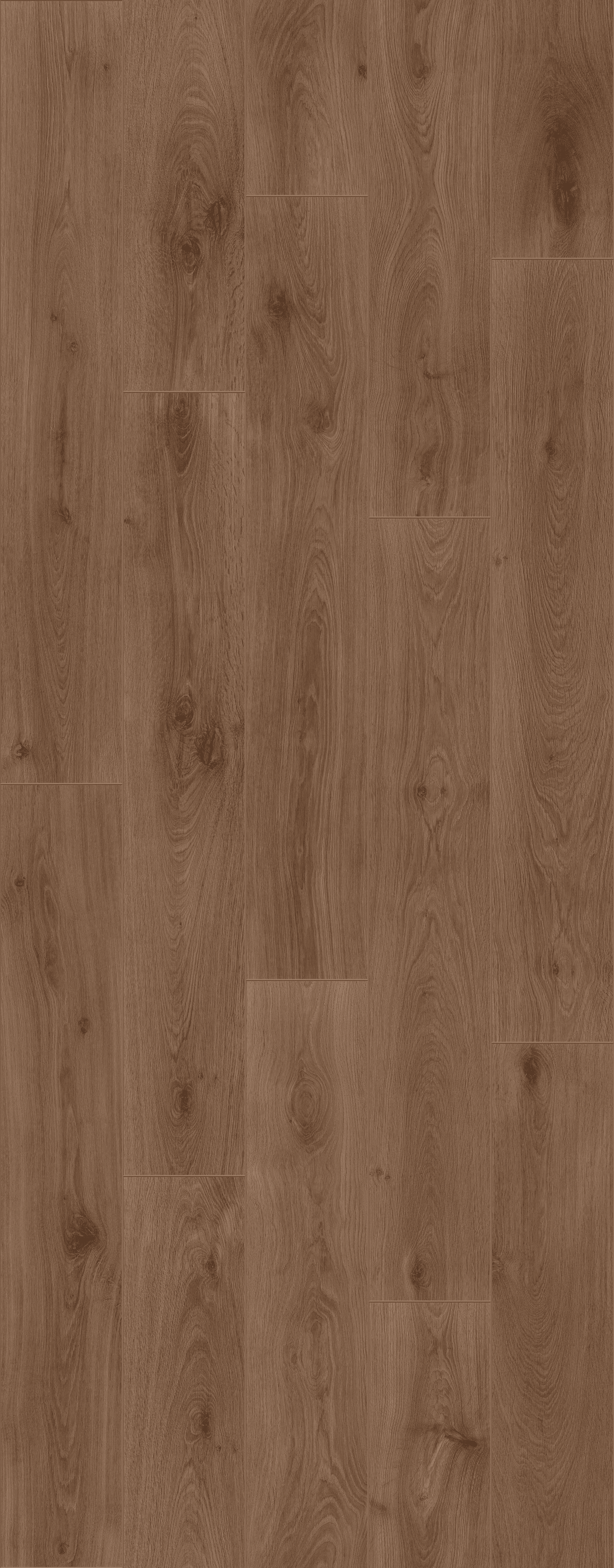 Noble Oak Chocolate (PLC312R) 3014x1239 mm 