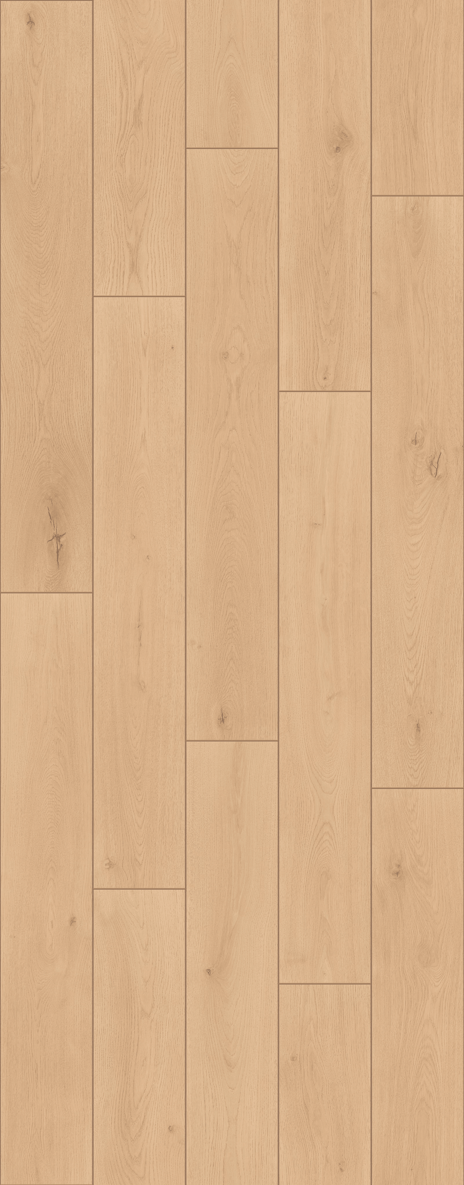 Noble Oak Vanilla (PLC310R) 3014x1239 mm 