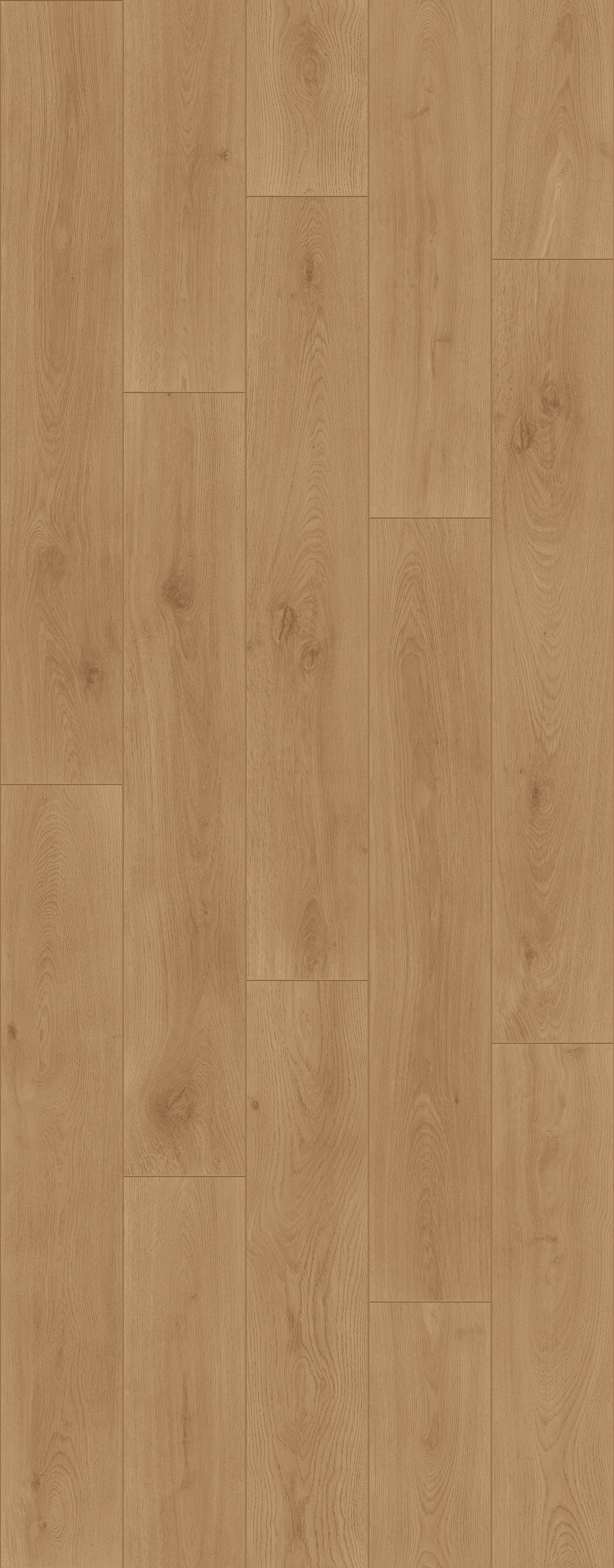 Noble Oak Toffee (PLC311R) 3014x1239 mm 