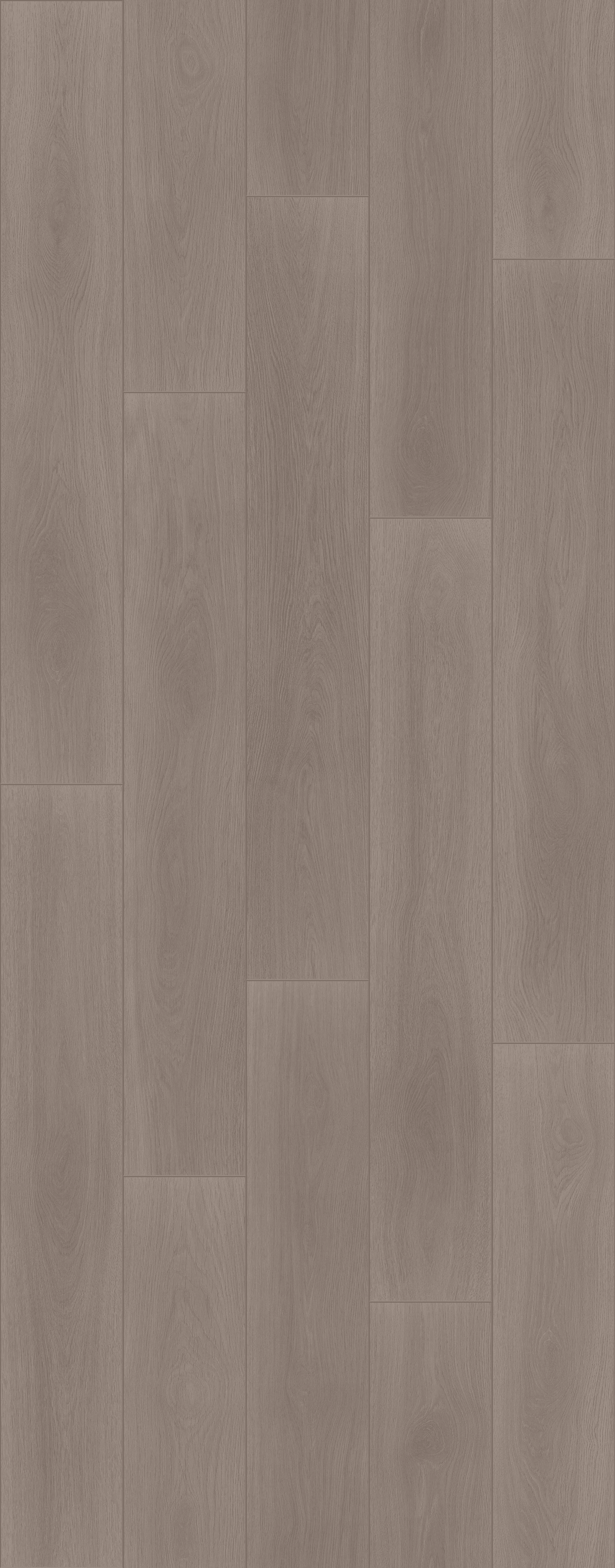 Calm Oak Ash (PLC308R) 3014x1239 mm 