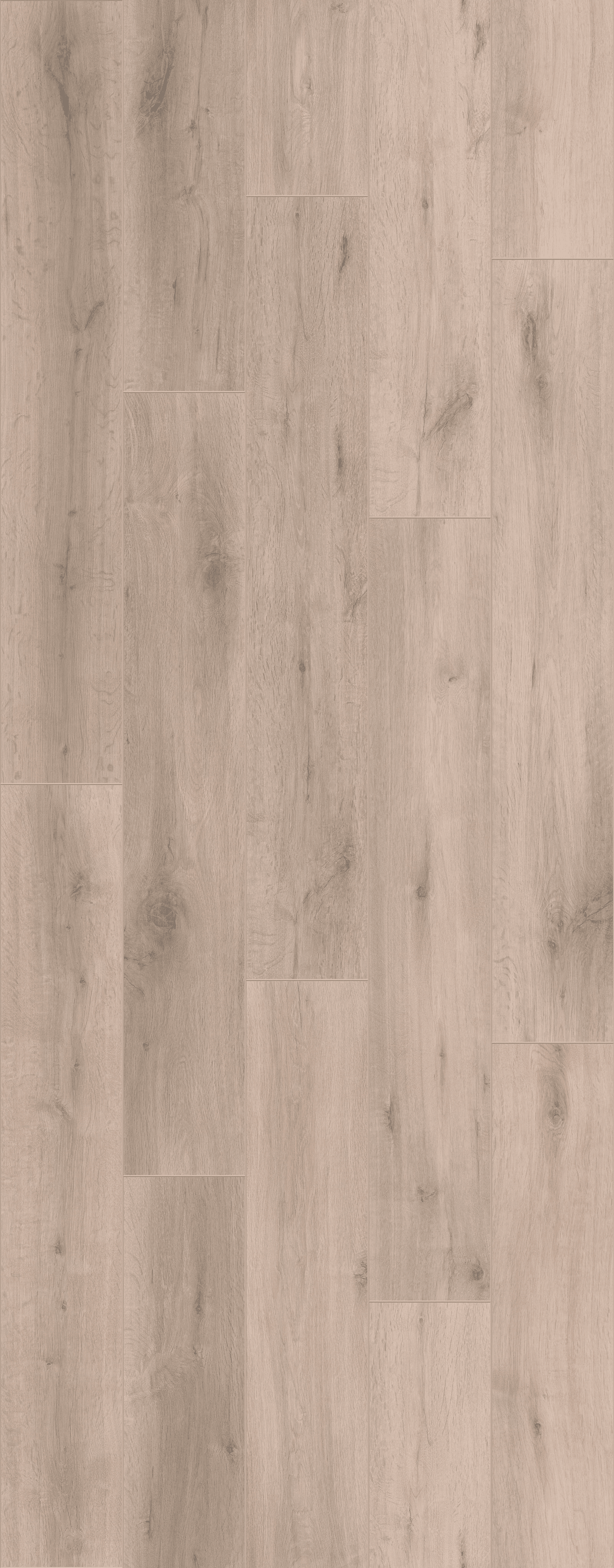 Rustic Oak Taupe (PLC313R) 3014x1239 mm 
