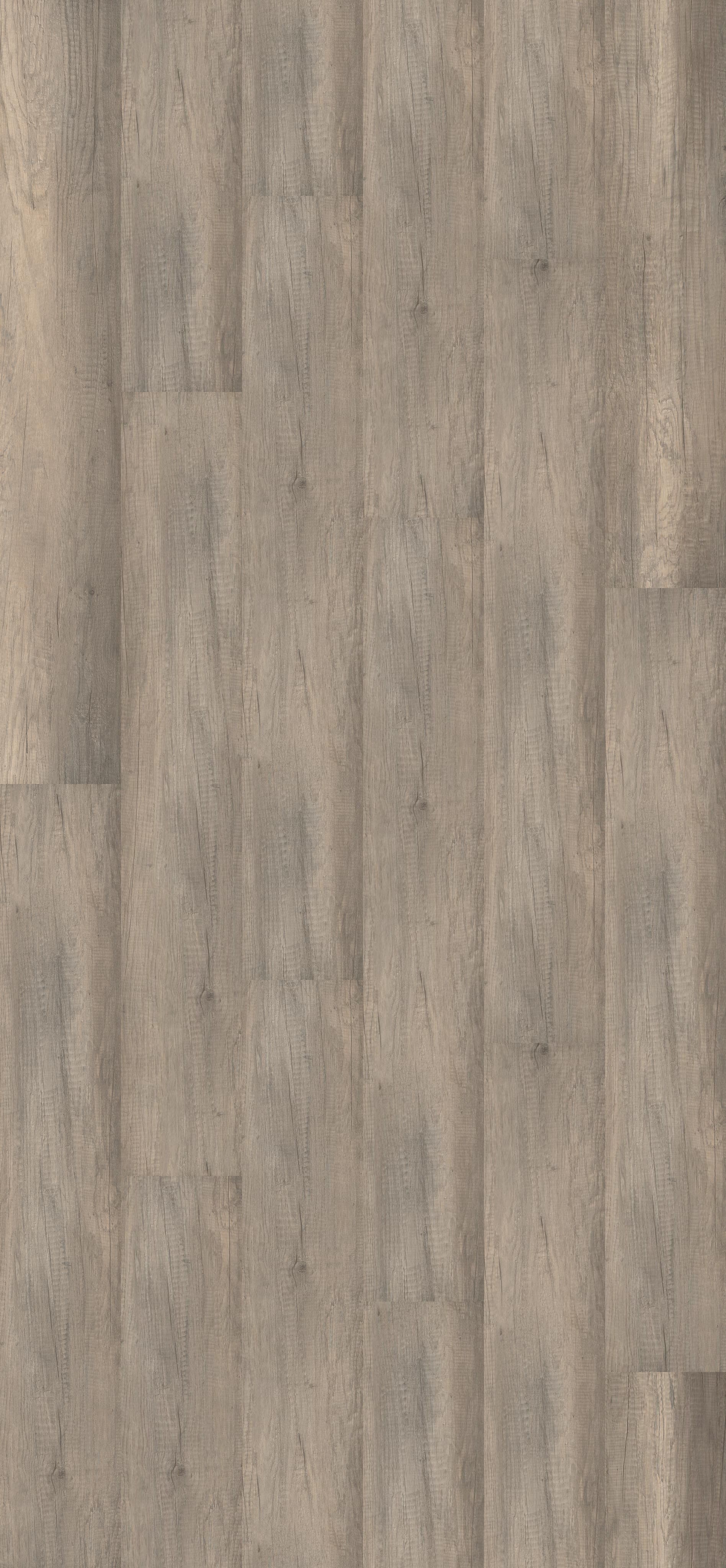 Calistoga Grey (PL003R) 2596x1200mm