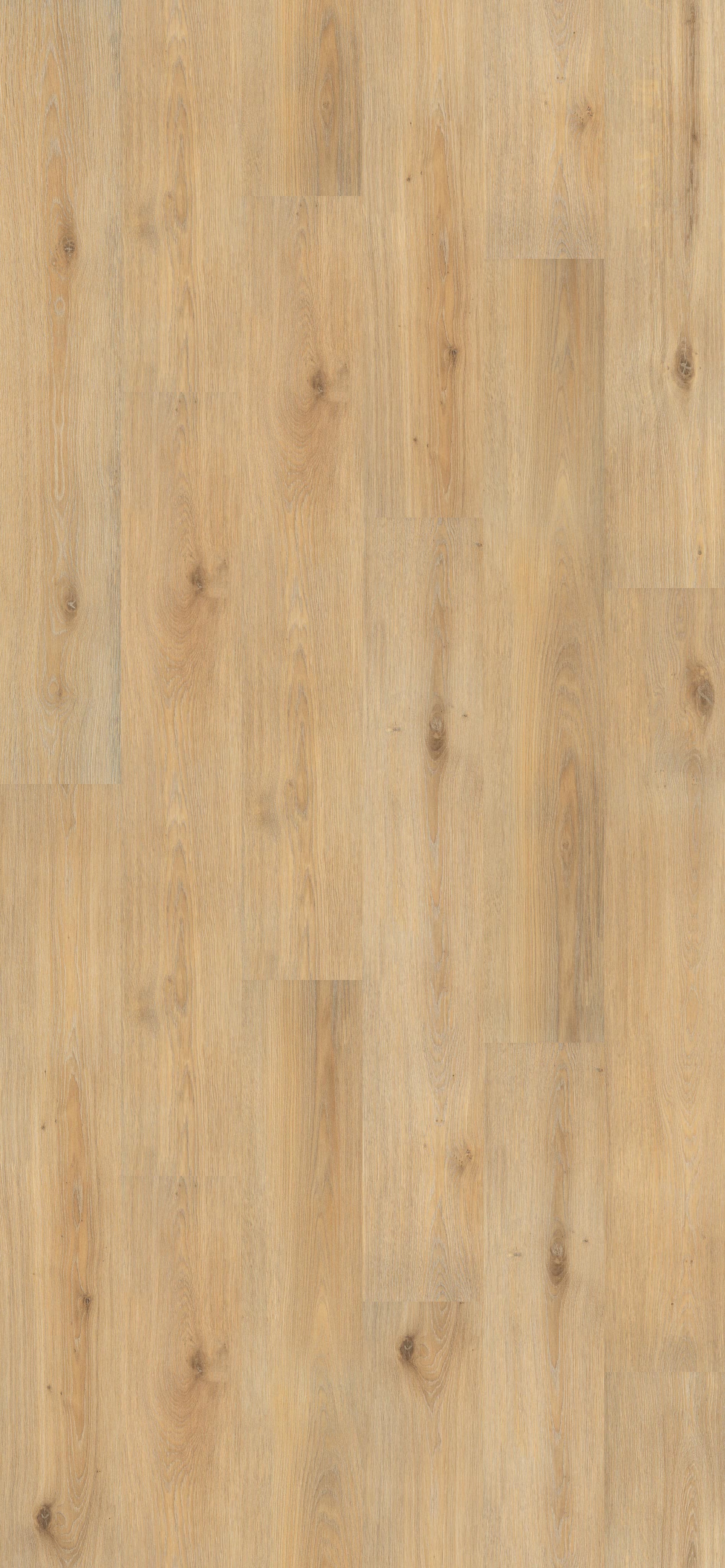 Island Oak Honey (PL043R) 2596x1200mm