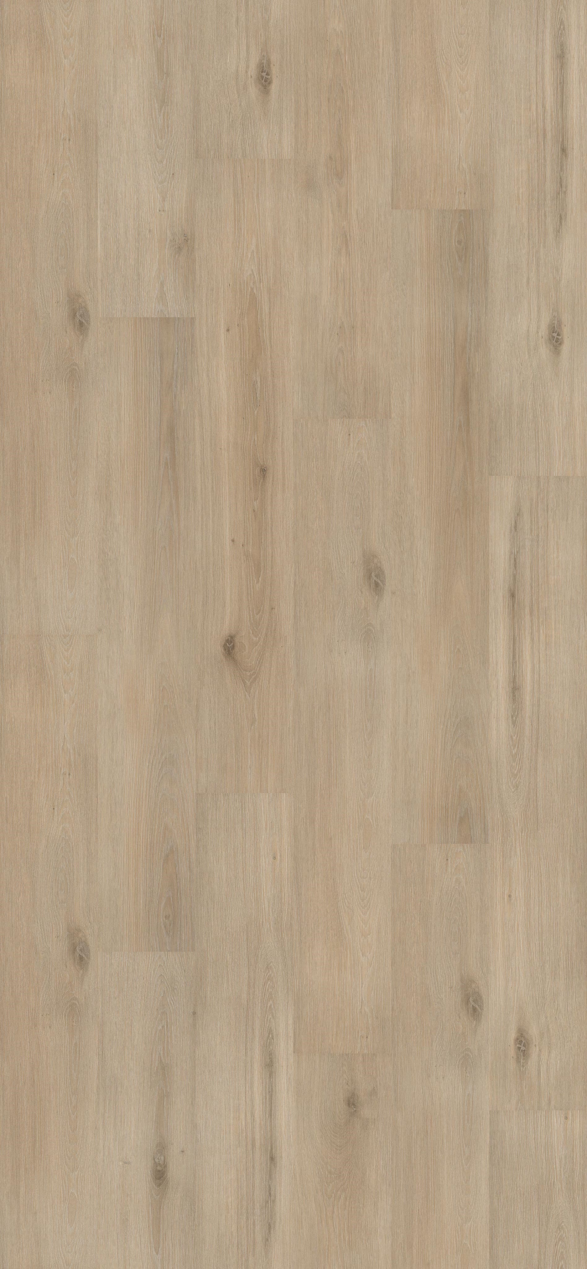 Island Oak Sand (PL044R) 2596x1200mm