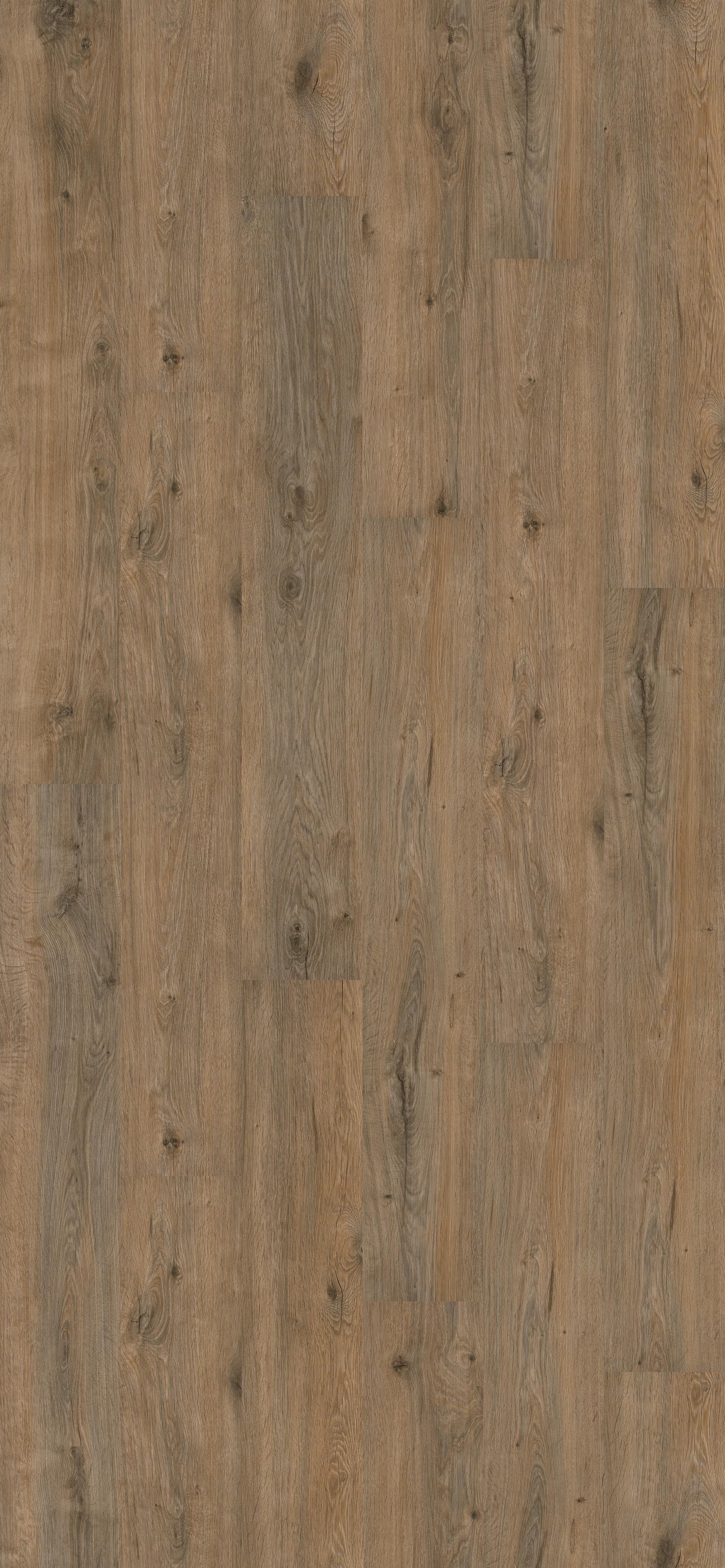 Valley Oak Soil (PL041R) 2596x1200mm