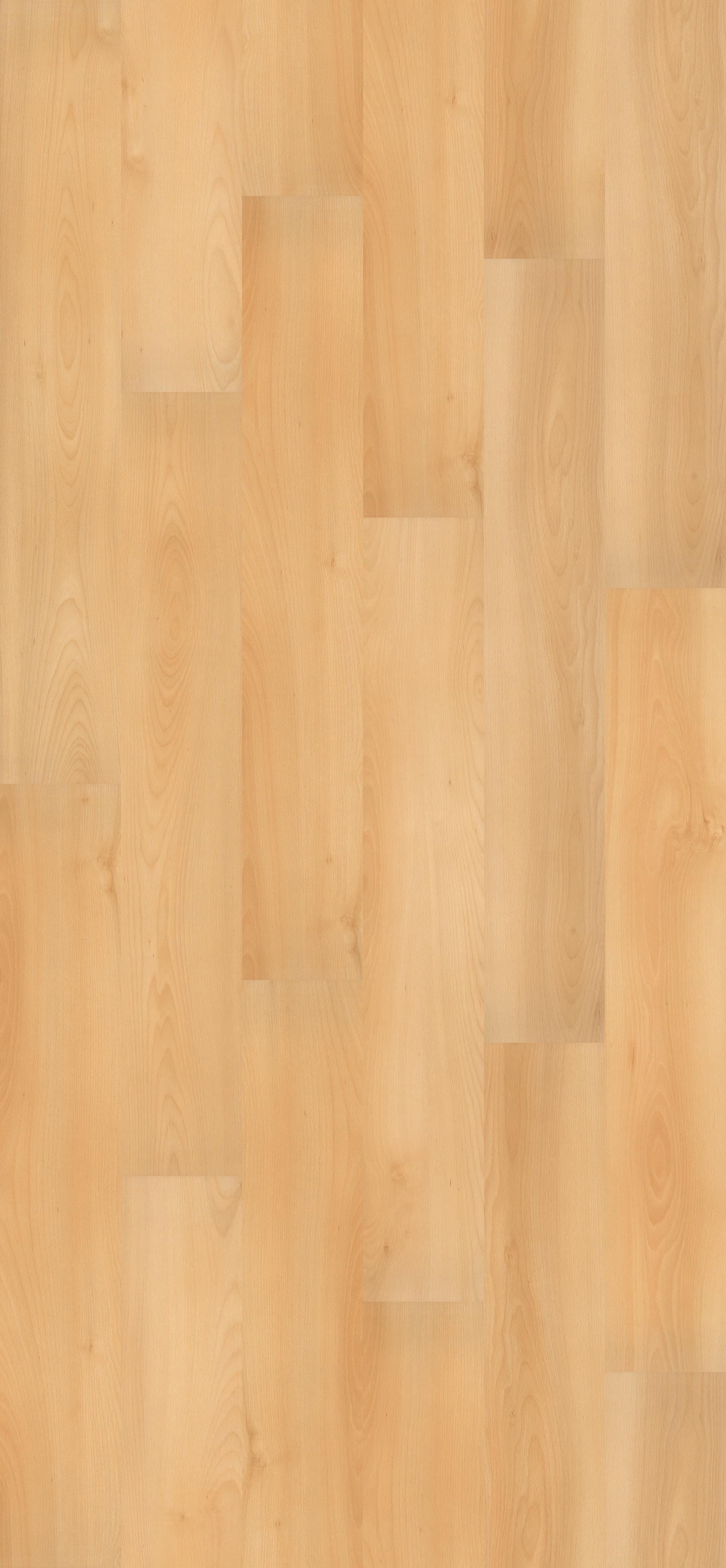 Summer Beech (PL047R) 2596x1200mm