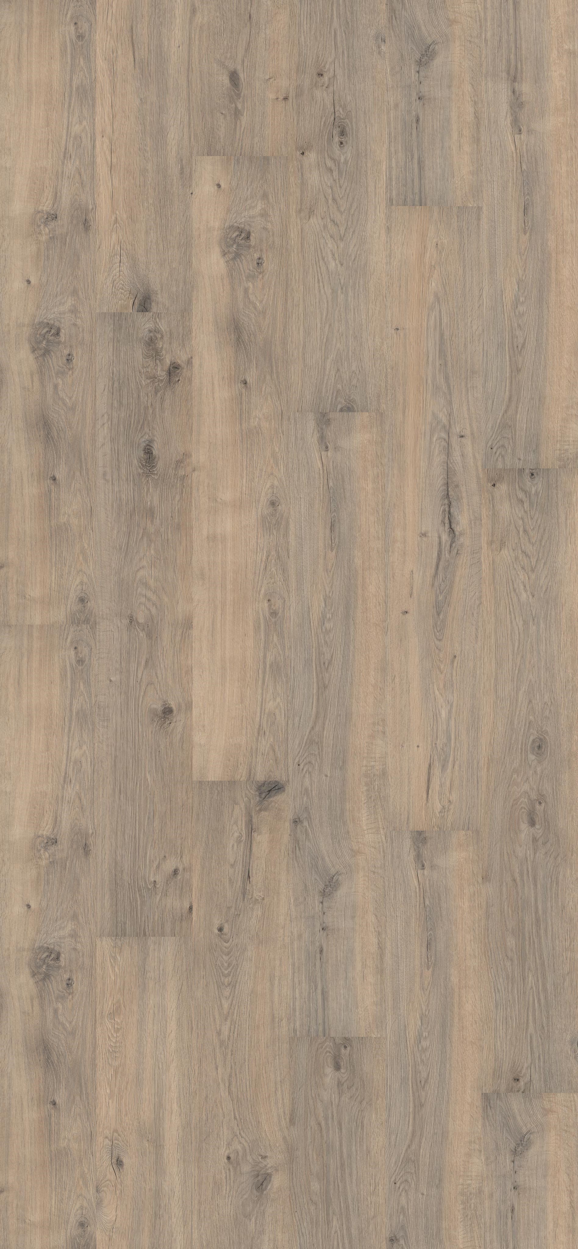 Valley Oak Mud (PL042R) 2596x1200mm