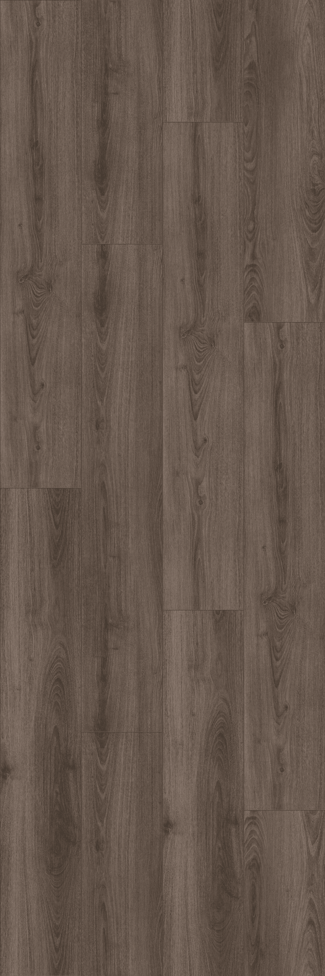 Call me Tilda (PLC086R) 5000x3000 mm