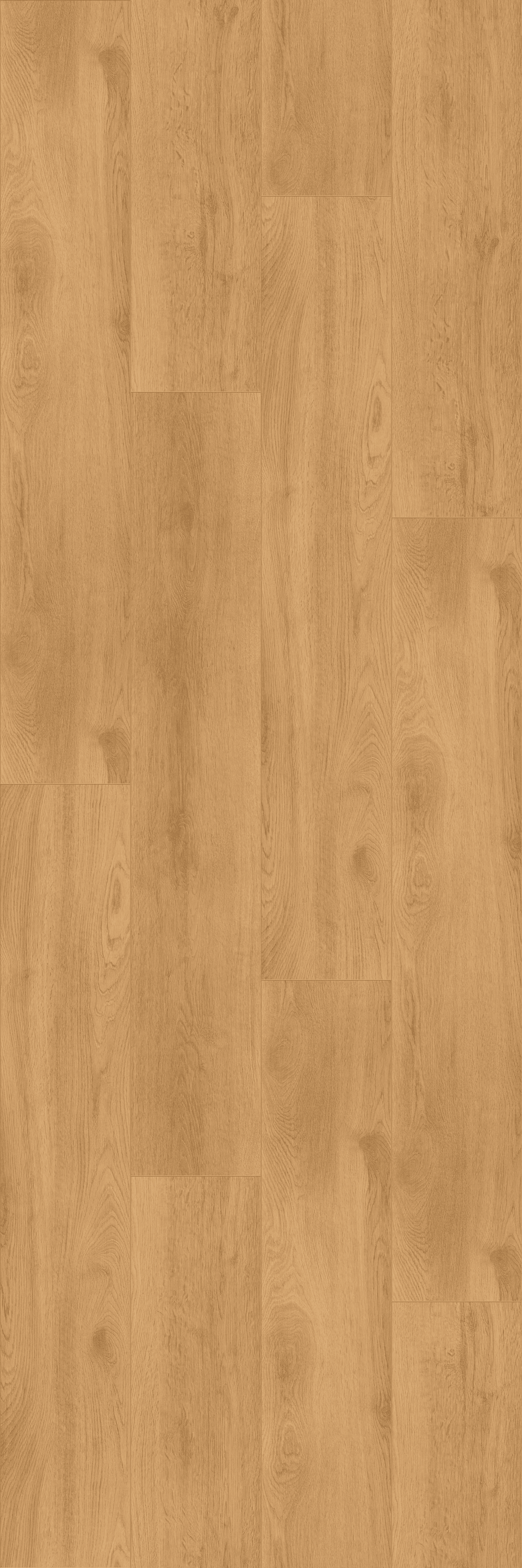 Let’s go Max (PLC270R) 5000x3000 mm