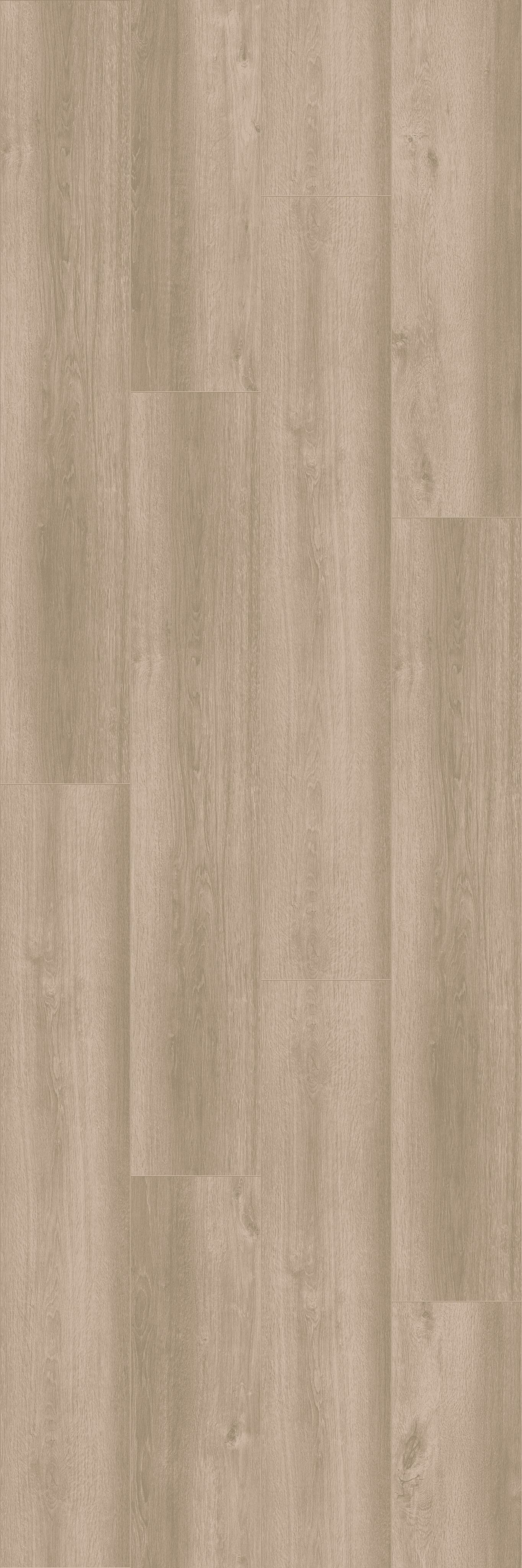 Cheer for Lisa (PLC097R) 5000x3000 mm