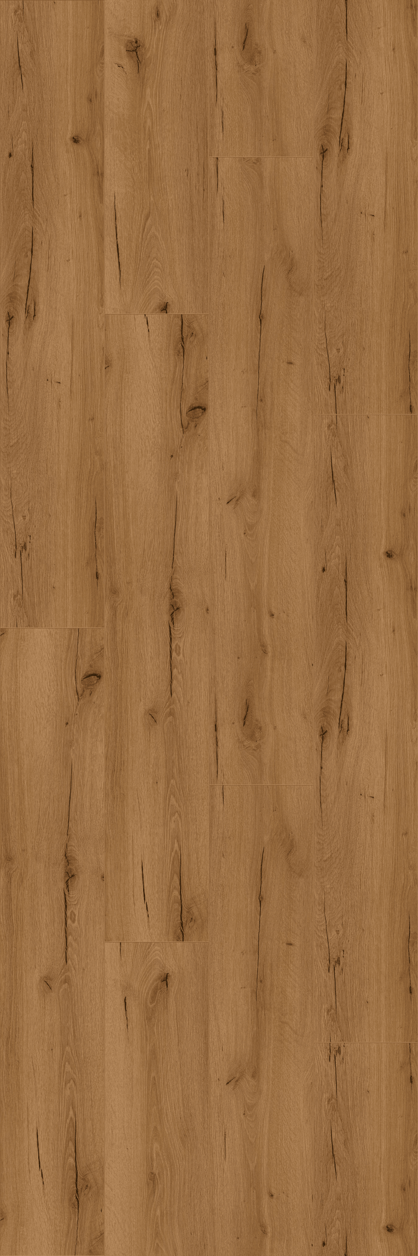 Say hi to Klara (PLC272R) 5000x3000 mm