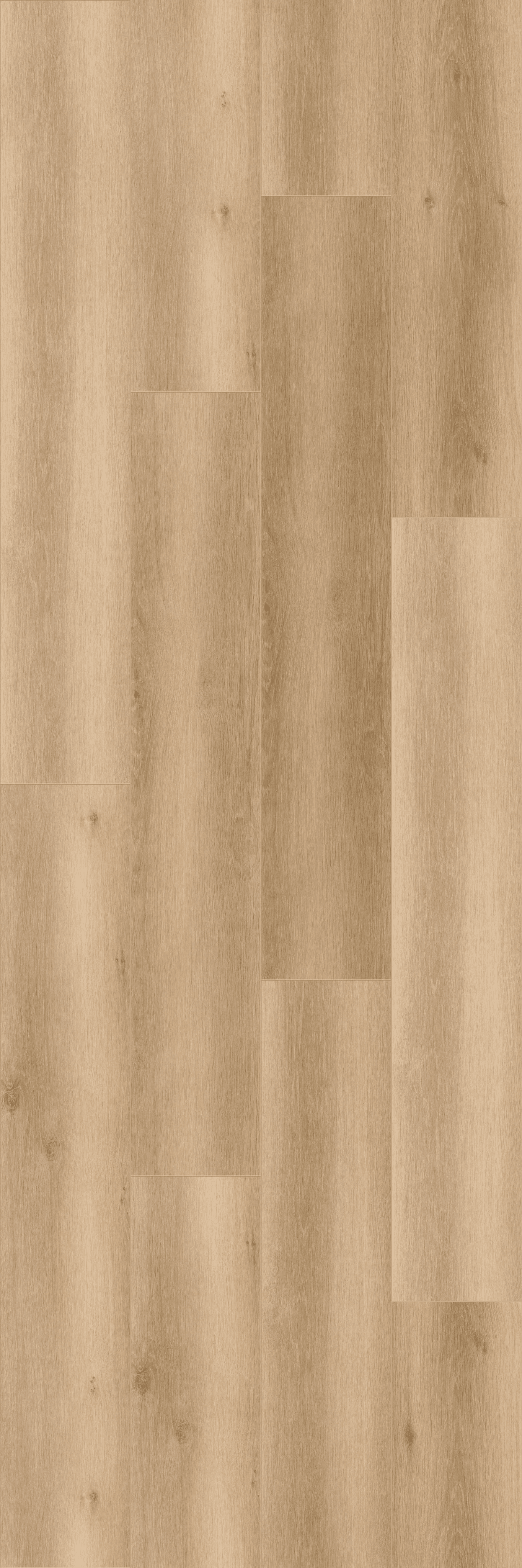 Welcome Oskar (MLP269R) 5000x3000 mm