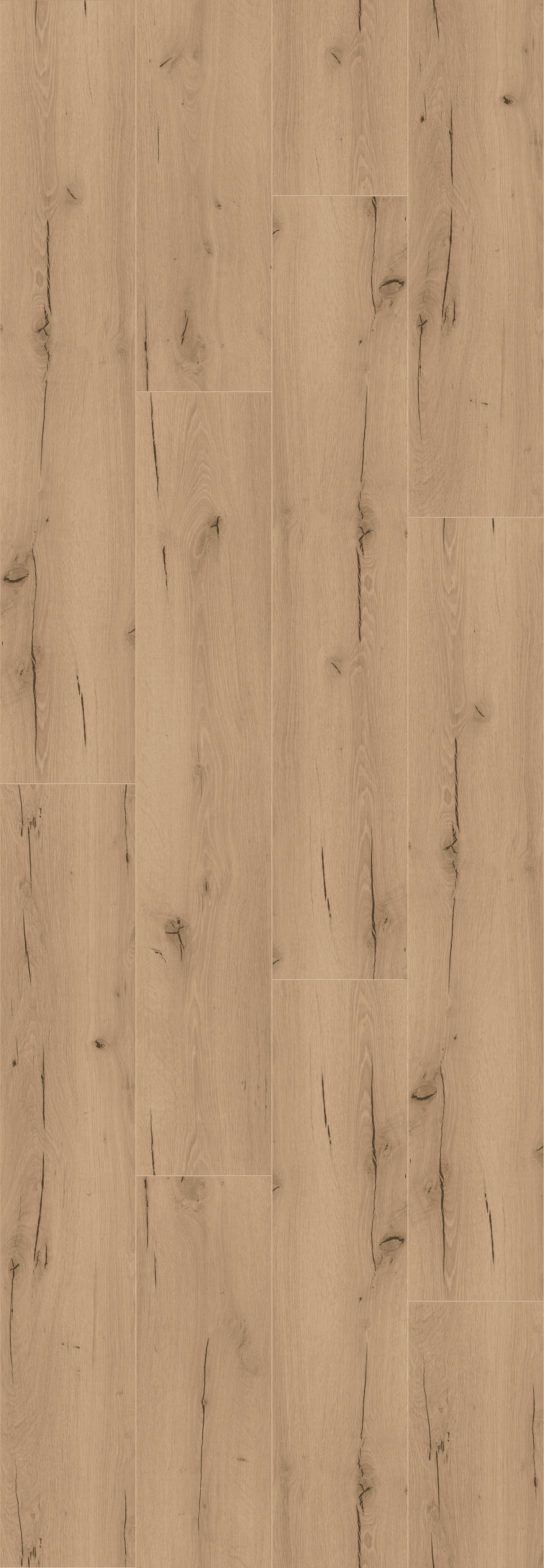 Announcing Fritz (MLP271R) 5000x3000 mm