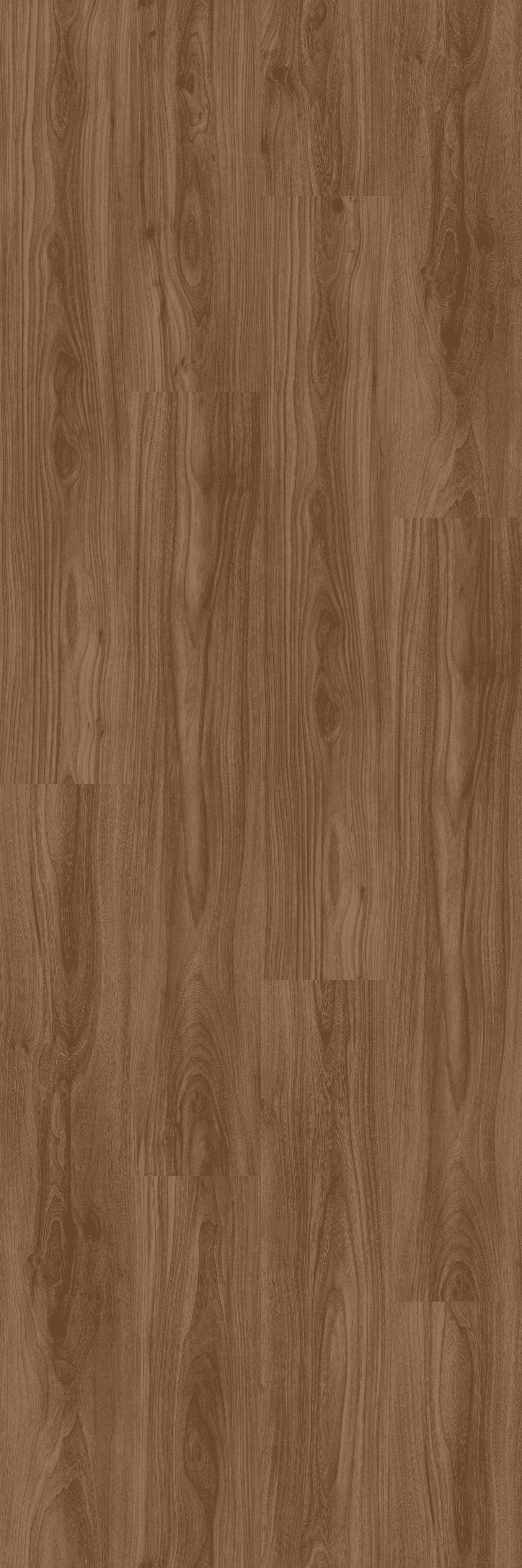 Noble Elm (PL081C) 2400x800 mm