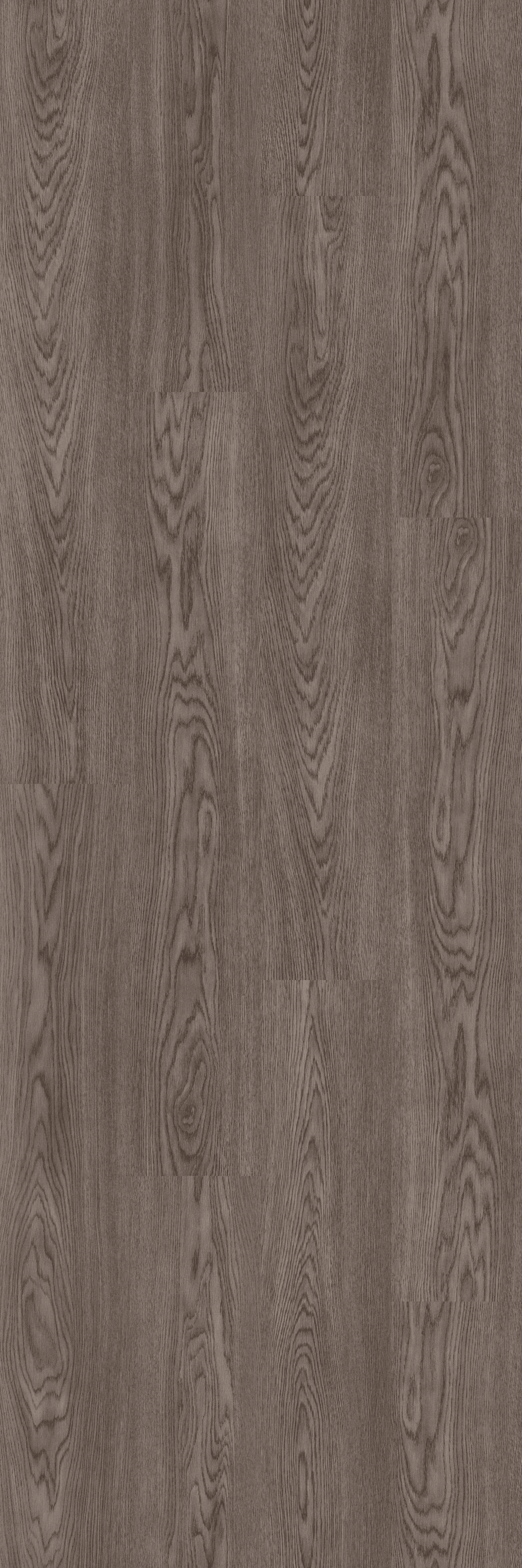 Classic Oak Winter (PL074C) 2400x800 mm