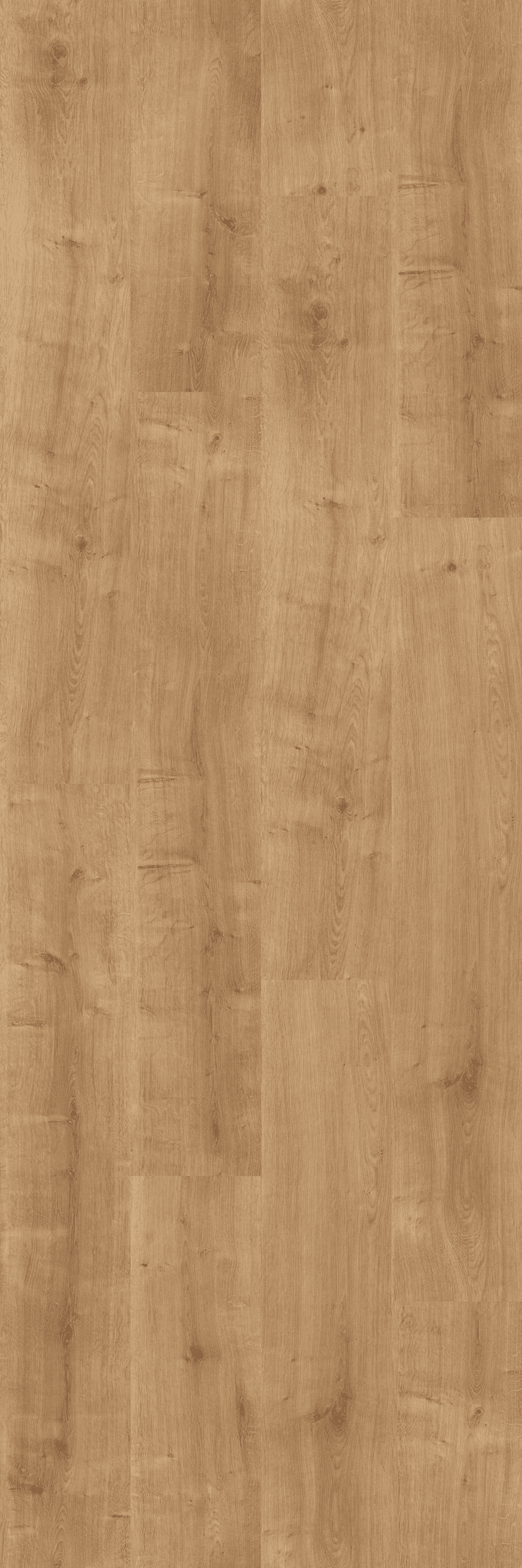 Canyon Oak Honey (PL076C) 2400x800 mm