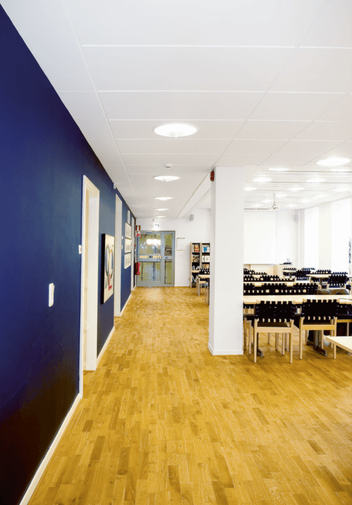 Sufity akustyczne Focus Frize A,E