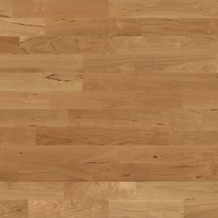 Wiśnia ameryk. Andante 440x125,4cm