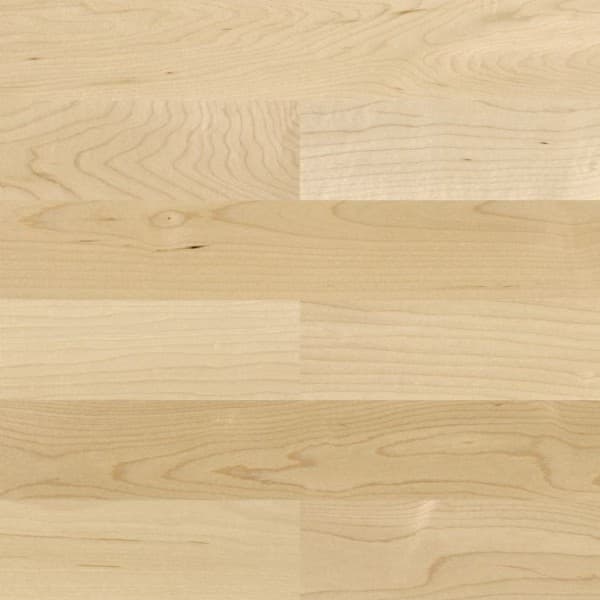 Klon kan. Nature 95,2x40,8cm